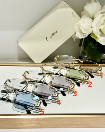 Cartier Glasses Photochromic lenses CT0092 55-18-145