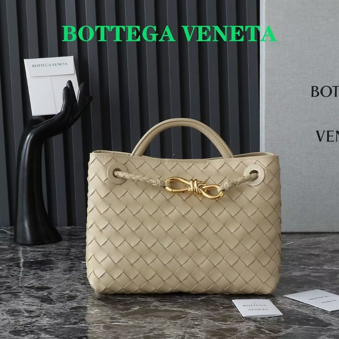 Bottega Veneta Small Andiamo 25x22x10.5cm