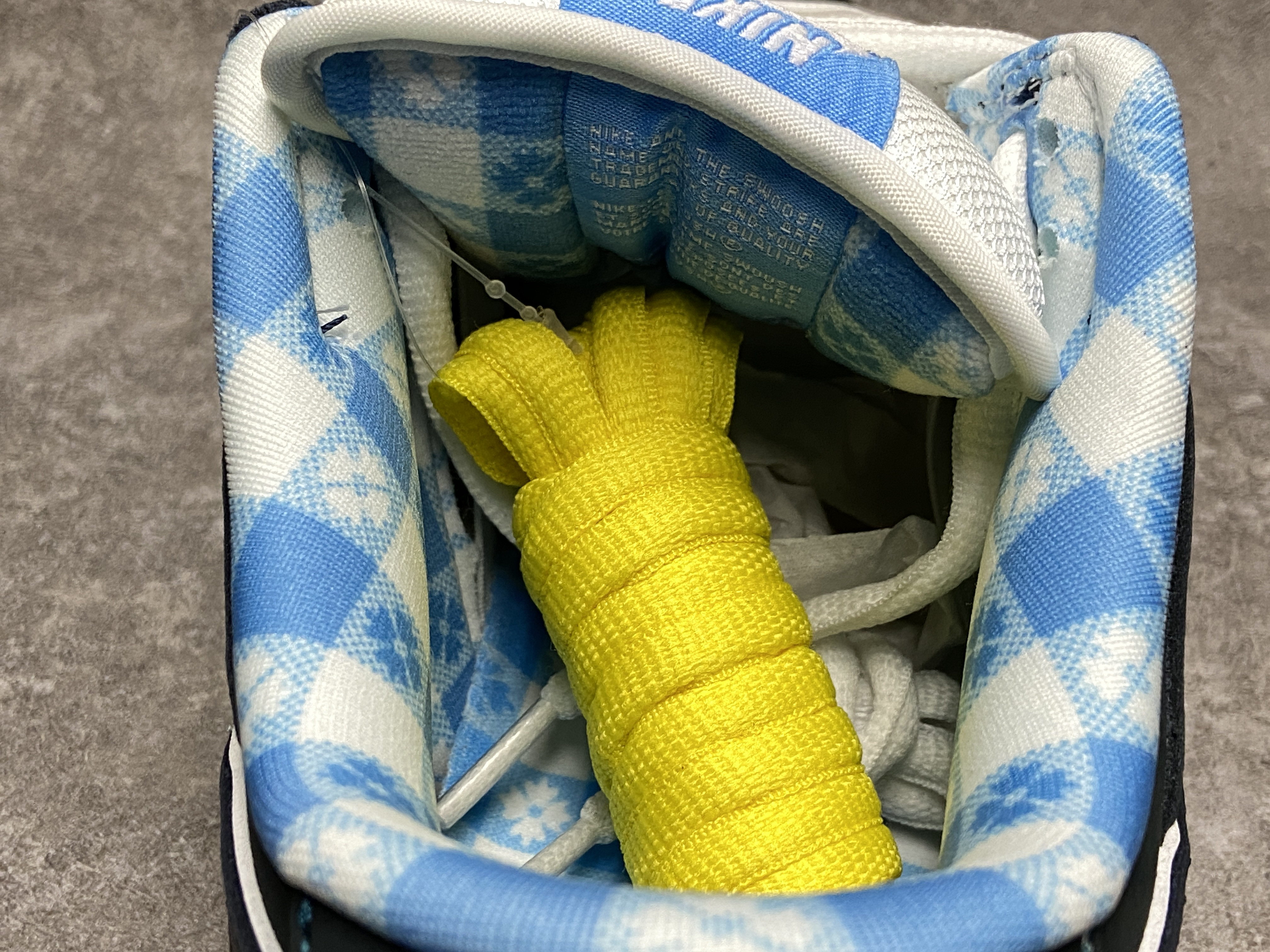 Nike Dunk SB Low Blue Lobster