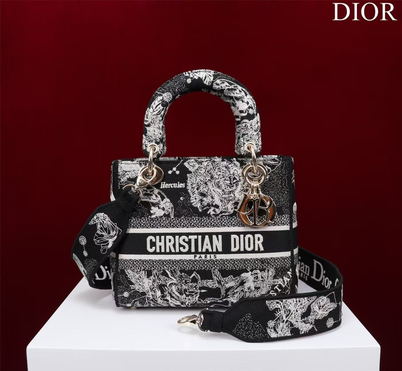 MEDIUM DIOR LADY D-LITE BAG  24 x 20 x 11 cm
