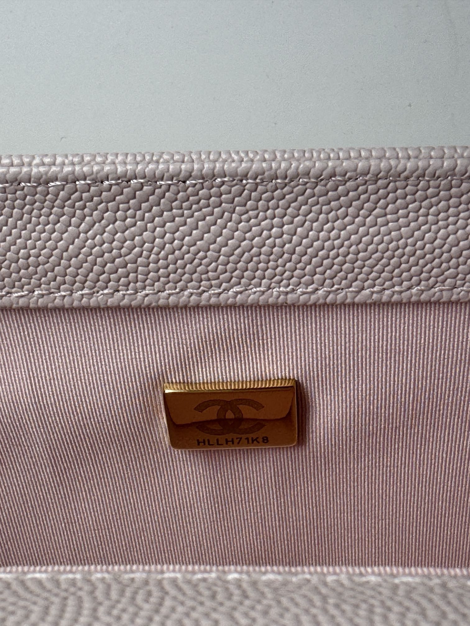 Chanel Leroy medium bag 25cm