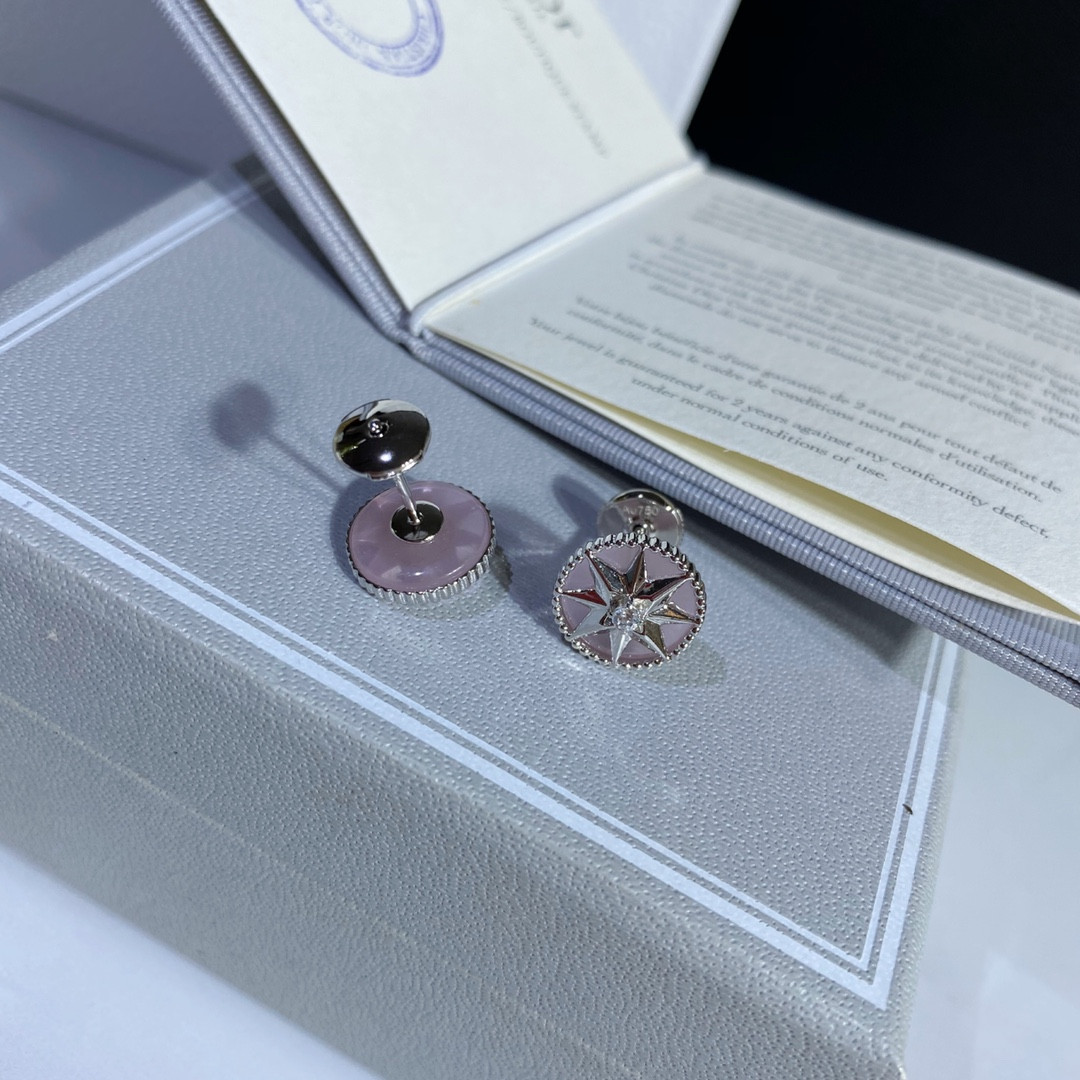 Dior compass Stud Earrings