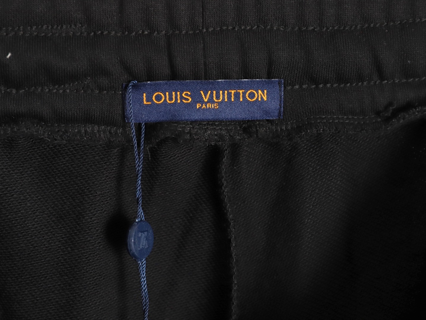 Louis Vuitton LV 25FW Pants