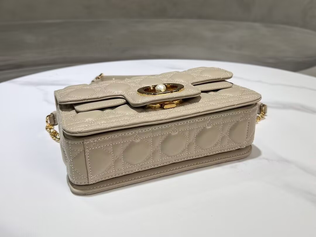 DIOR JOLIE 22x14x8cm