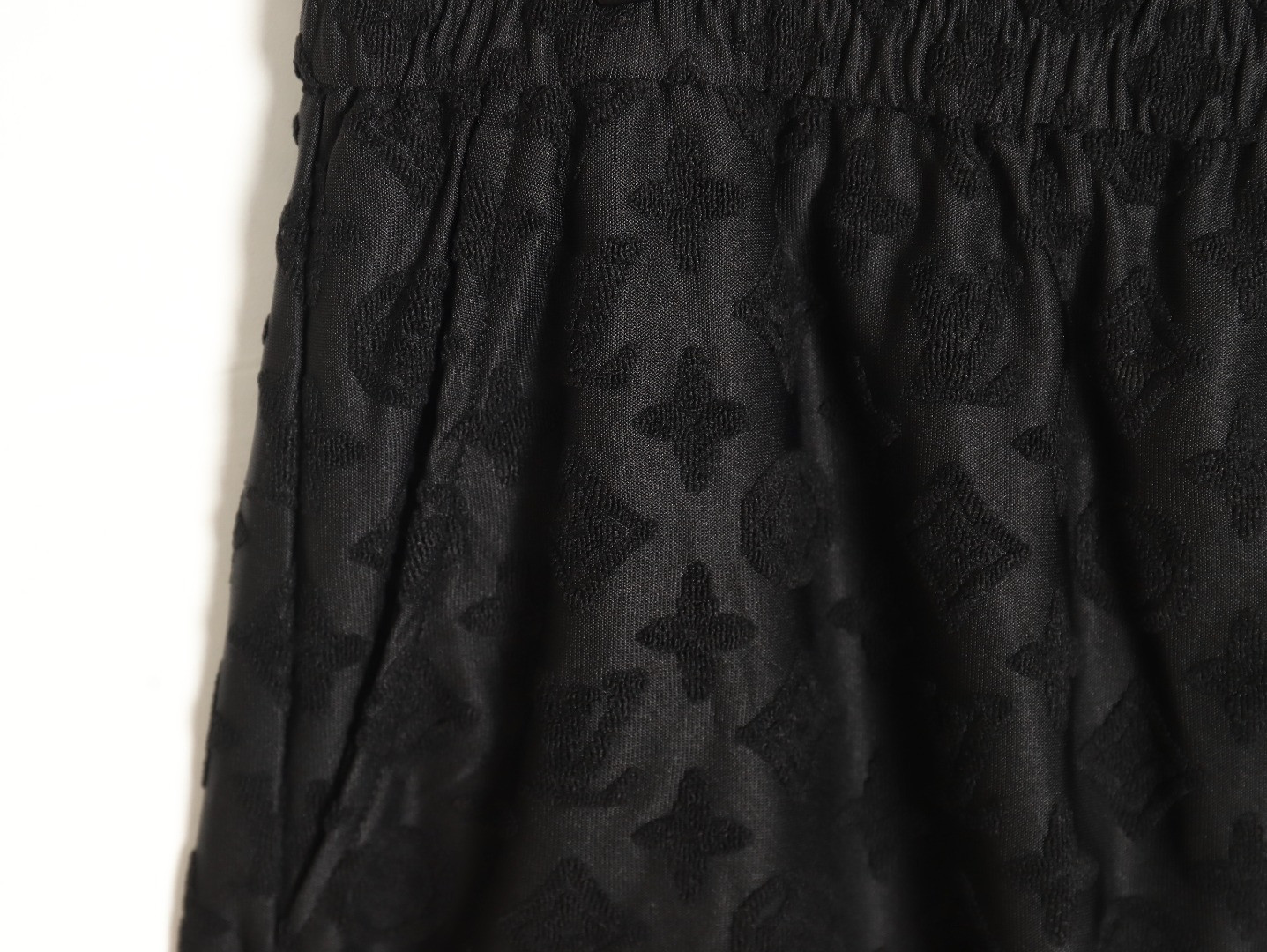 Louis vuitton LV 24ss shorts