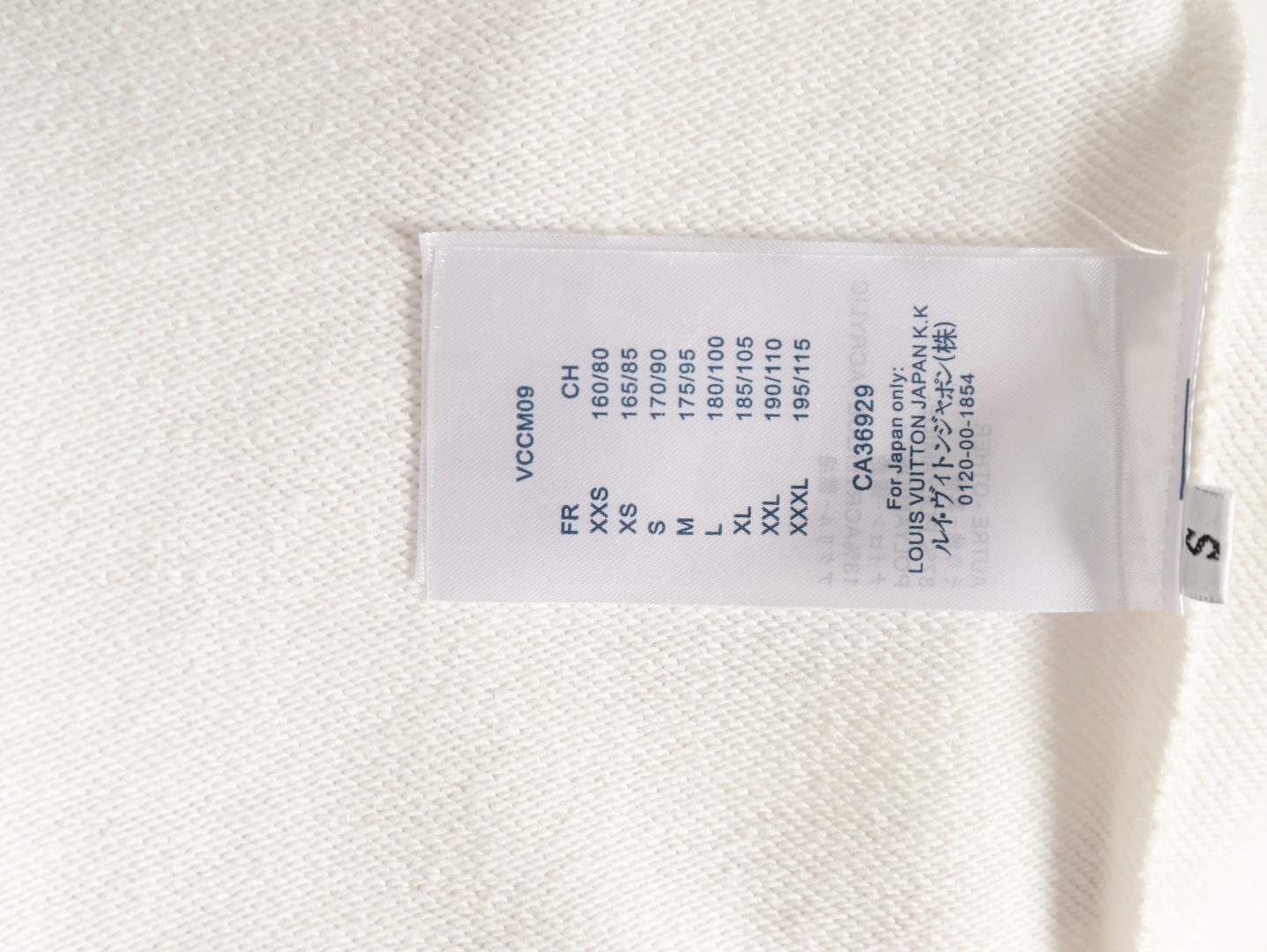 Louis Vuitton LV 25FW Hoodies