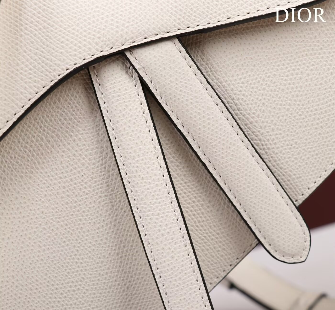 Dior MINI SADDLE BAG WITH STRAP Grained Calfskin 19 x 16 x 5 cm