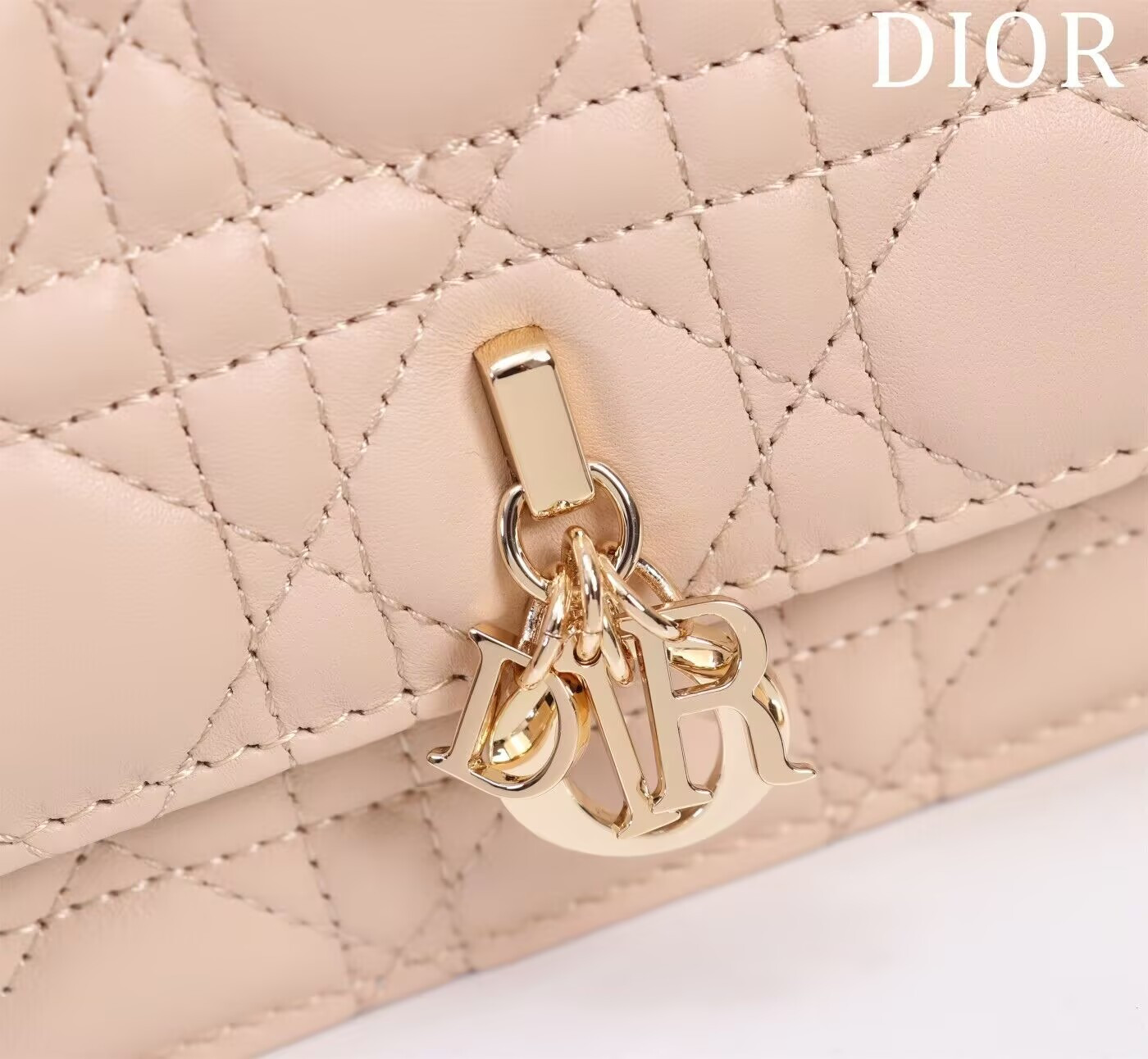 MISS DIOR MINI HANDBAG 21x11.5x4.5cm