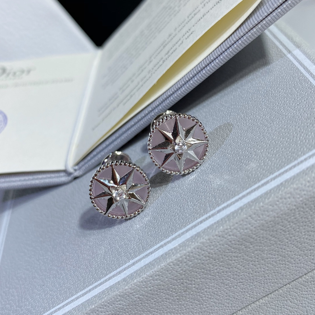 Dior compass Stud Earrings