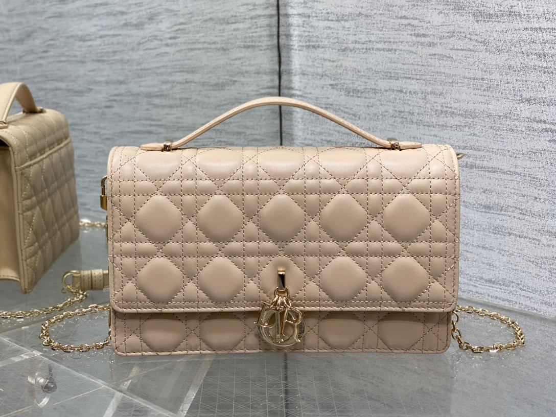 My Dior Top Handle Bag 24x14x7.5cm
