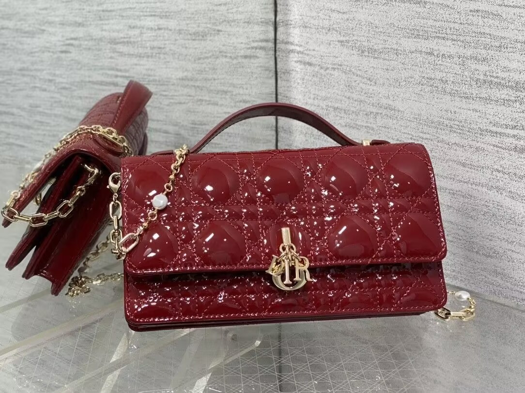 MISS DIOR MINI HANDBAG 21x11.5x4.5cm