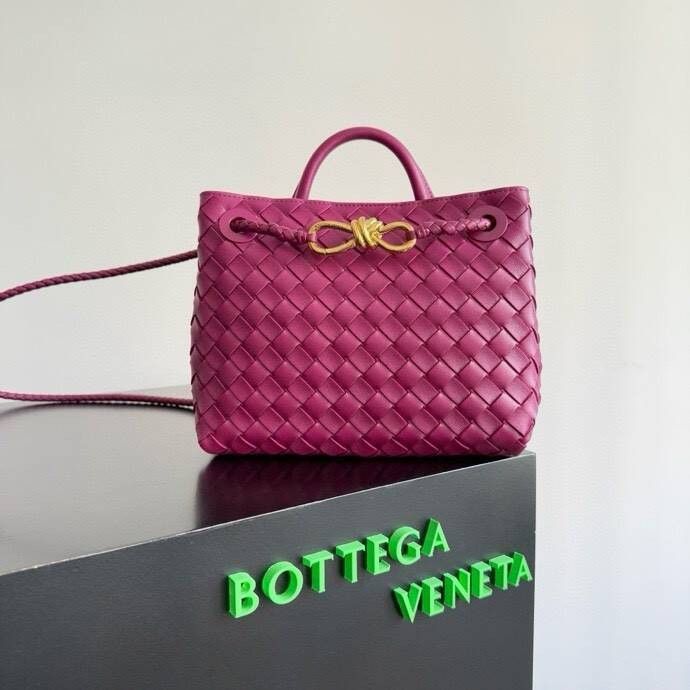 Bottega Veneta Small Andiamo 25x22x10.5cm