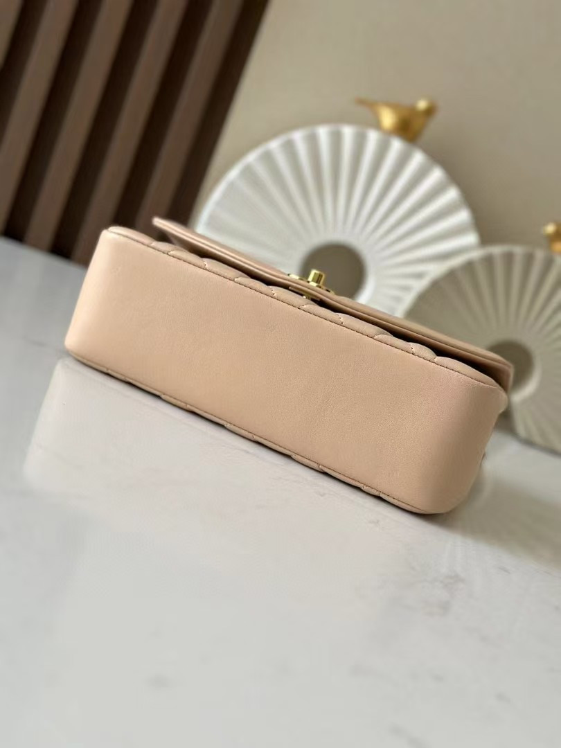 Chanel Small Diana Flap Bag Lambskin Gold Hardware 22.5x14x7cm