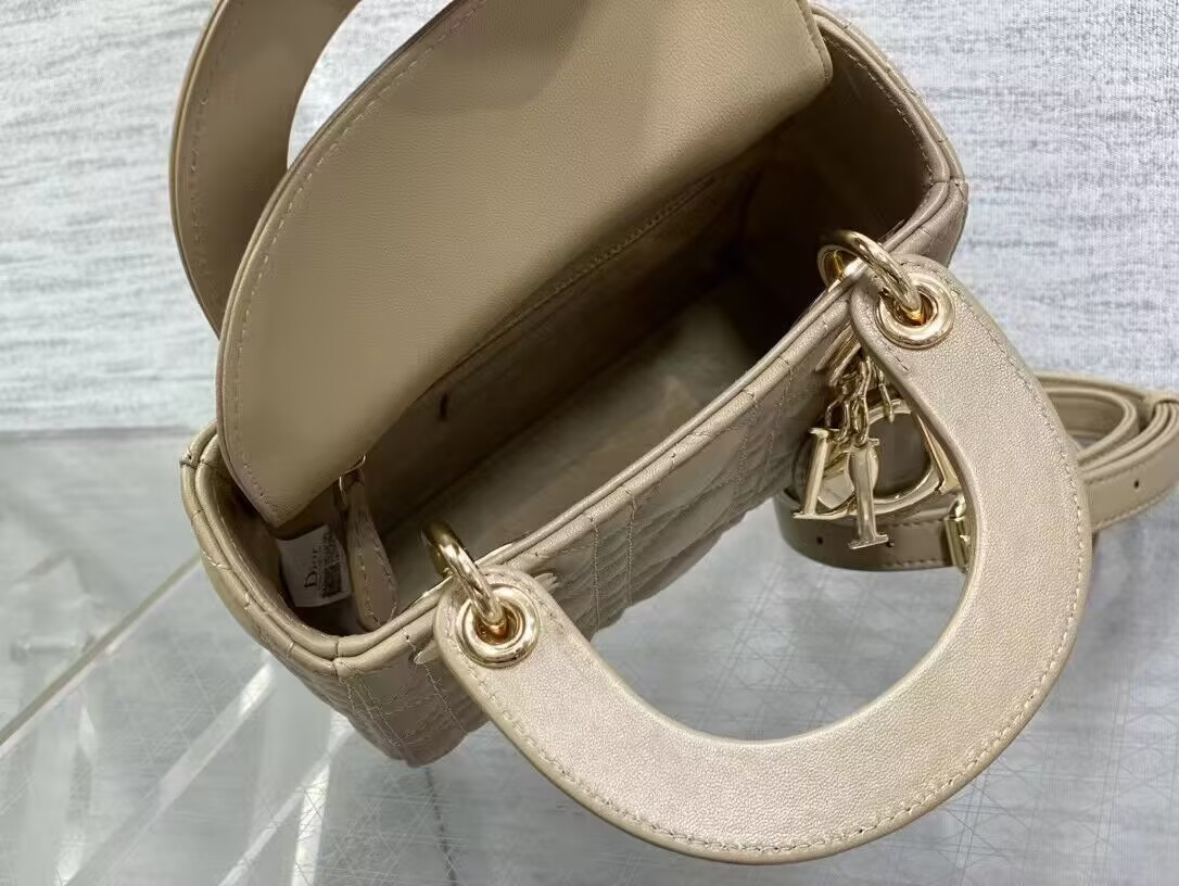 MINI LADY DIOR BAG 17x7x15cm