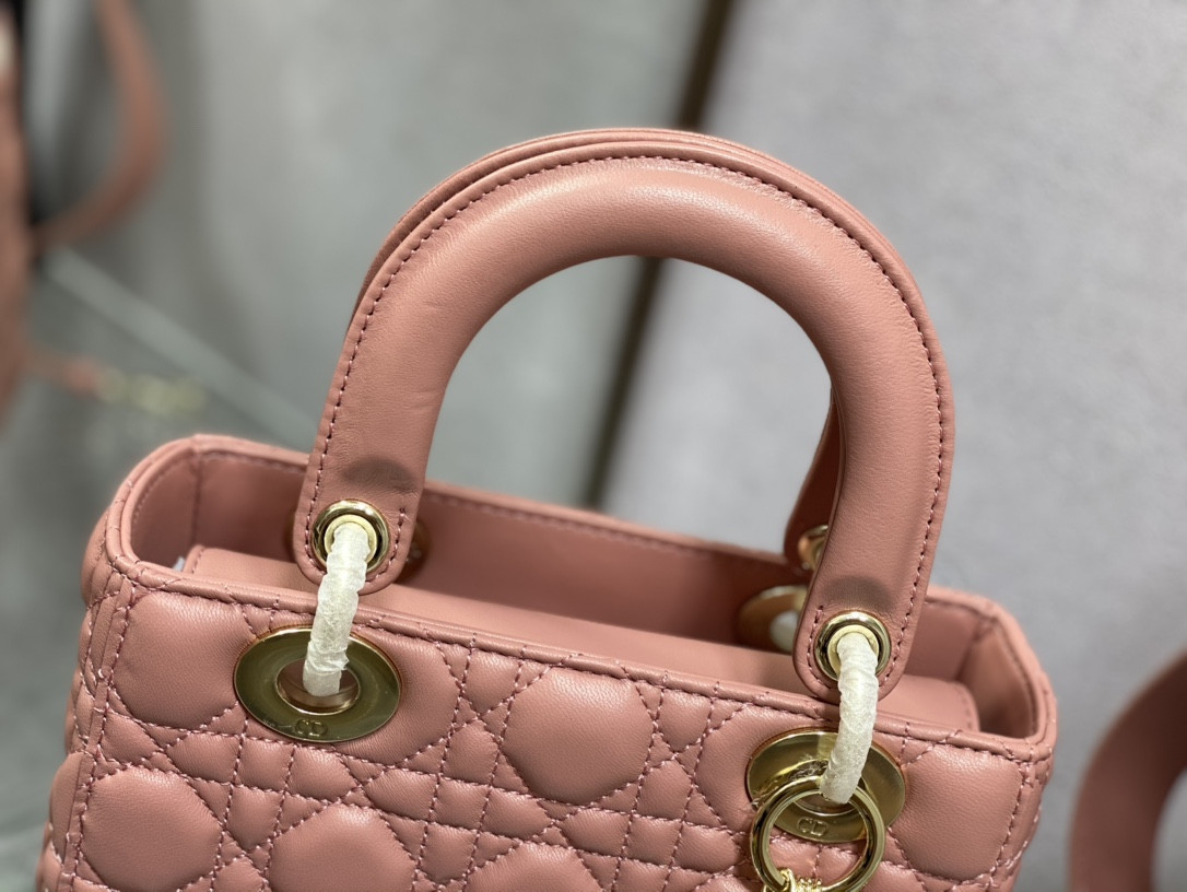 Small Lady DIORAMOUR My ABCDior Bag 8 x 6.5 x 3 inches