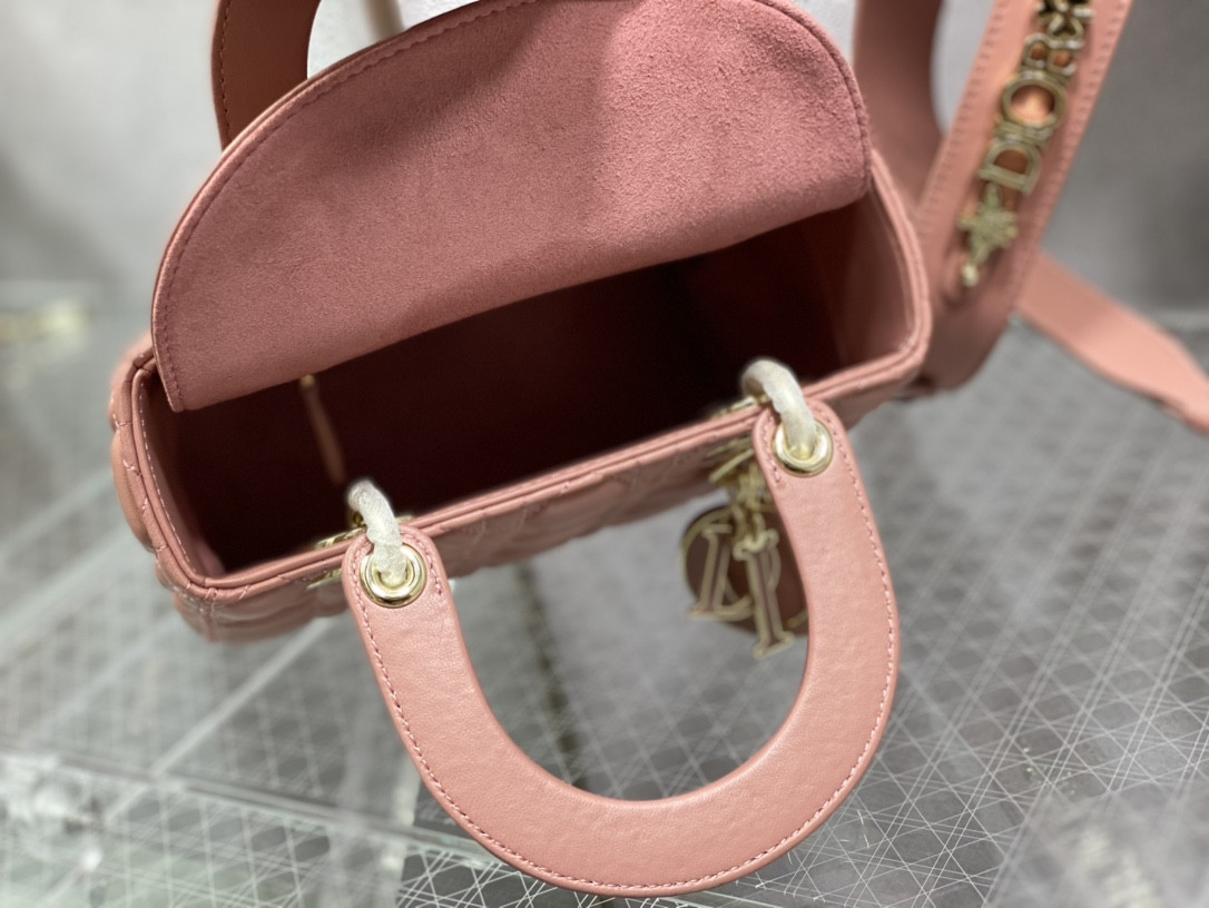 Small Lady DIORAMOUR My ABCDior Bag 8 x 6.5 x 3 inches