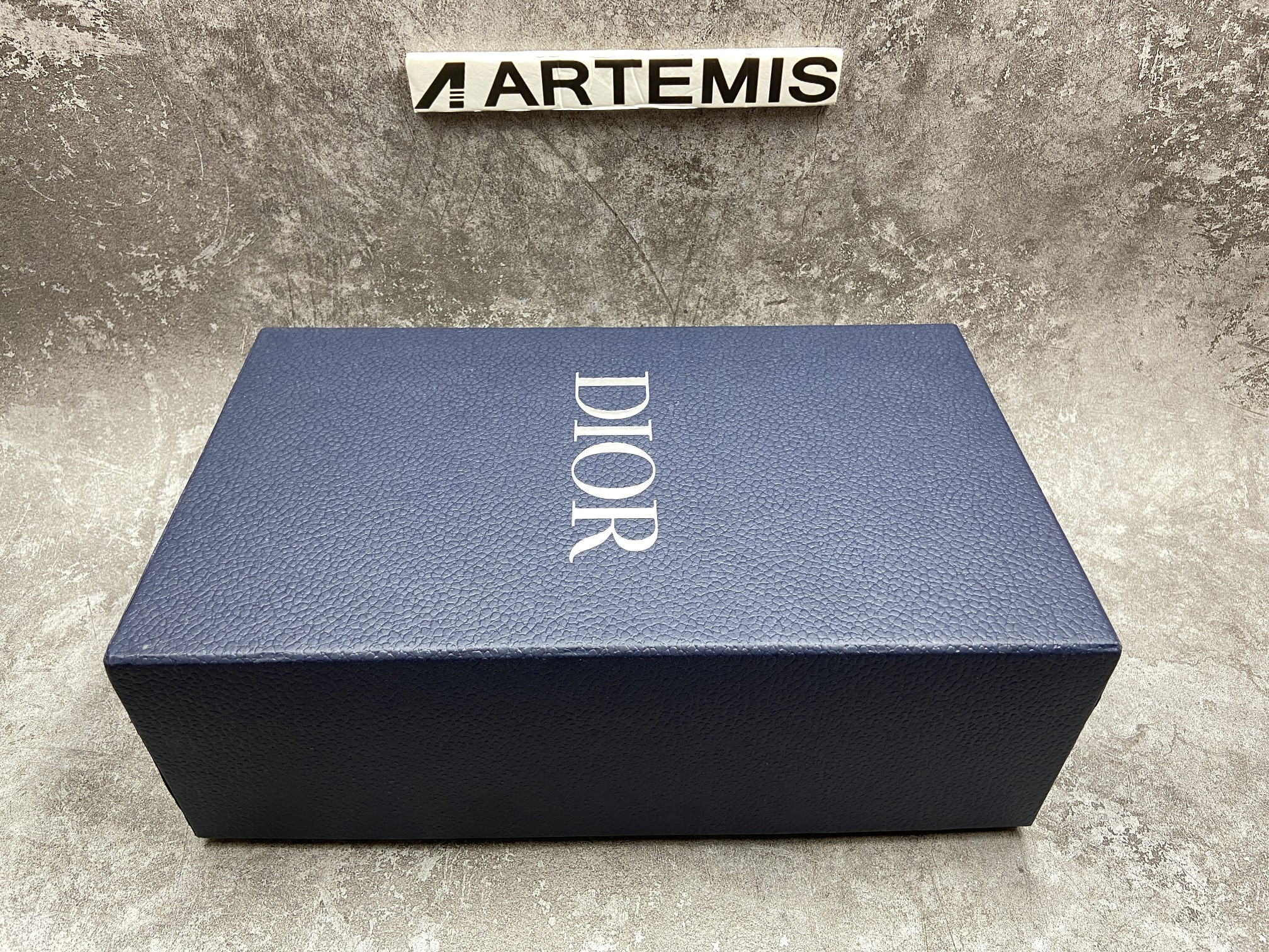 Dior B23 Low Top Daniel Asham Newspaper