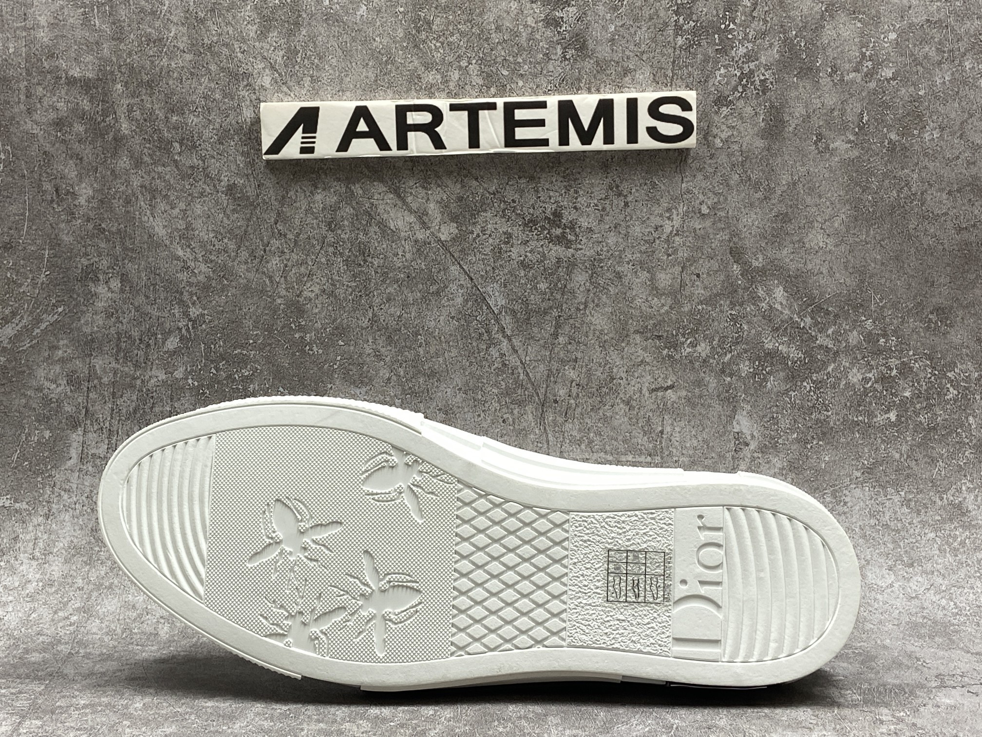 Dior B23 Low Top Daniel Asham Newspaper