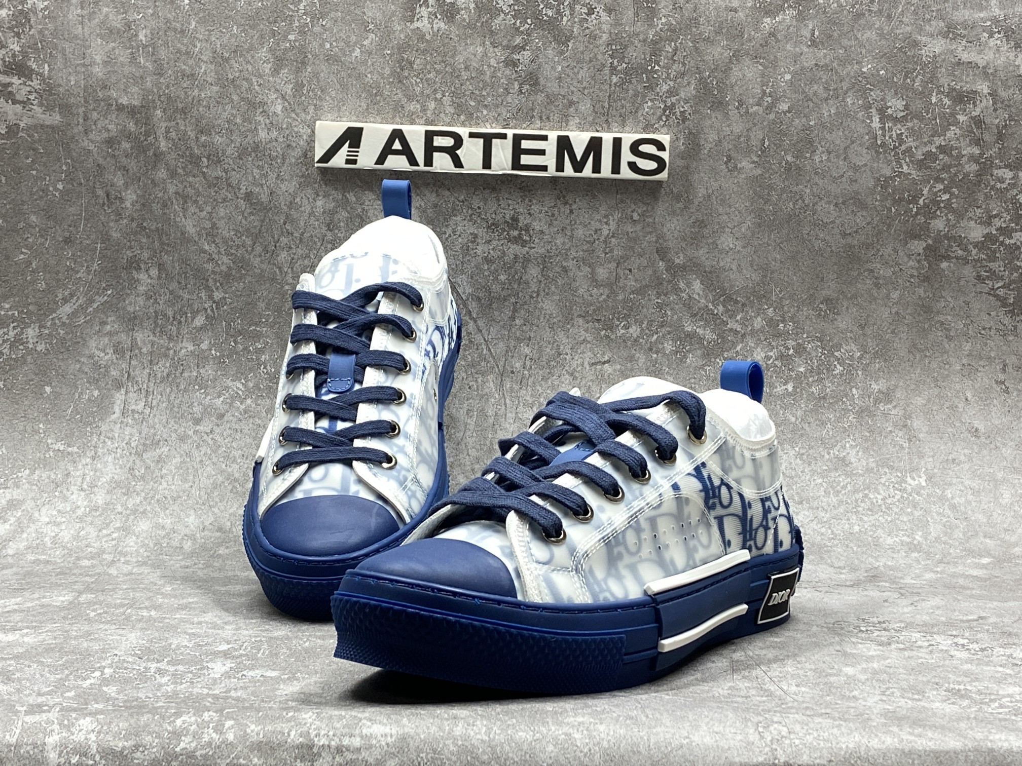 Dior B23 Low Top Blue Oblique