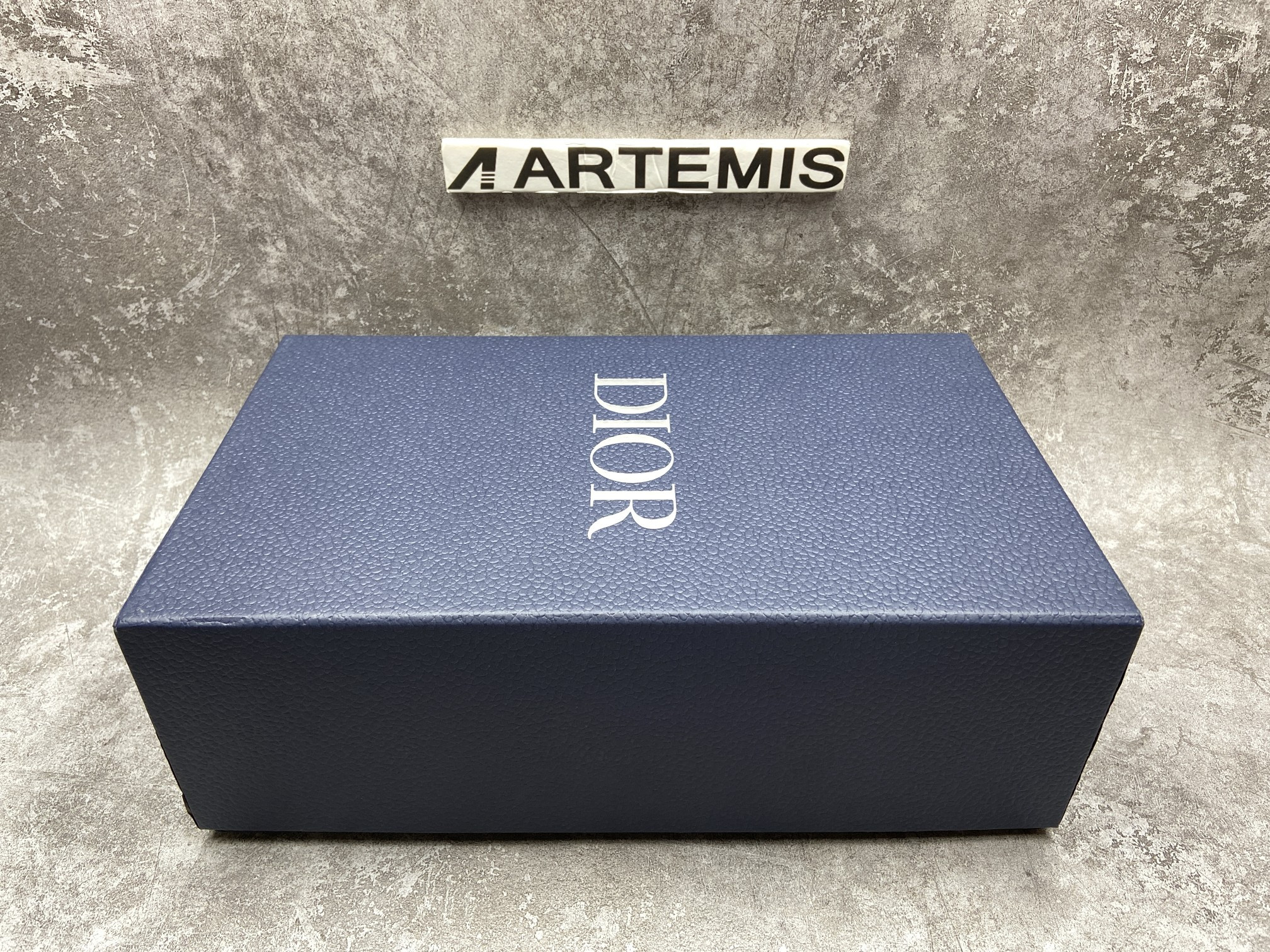 Dior B23 Low Top Alex Foxton Oblique