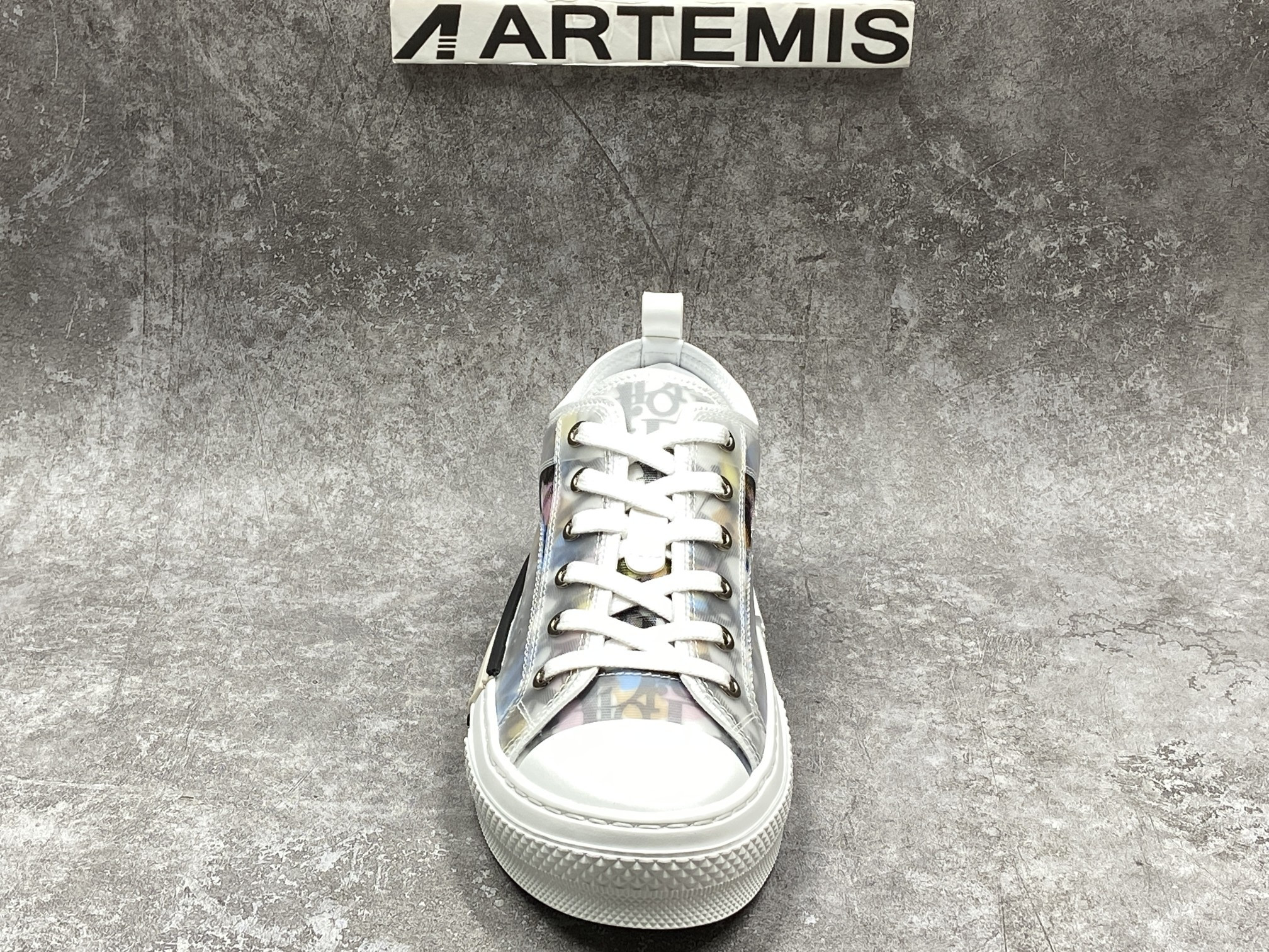 Dior B23 Low Top Alex Foxton Oblique