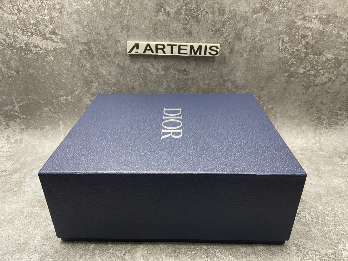 Dior B23 High Top White