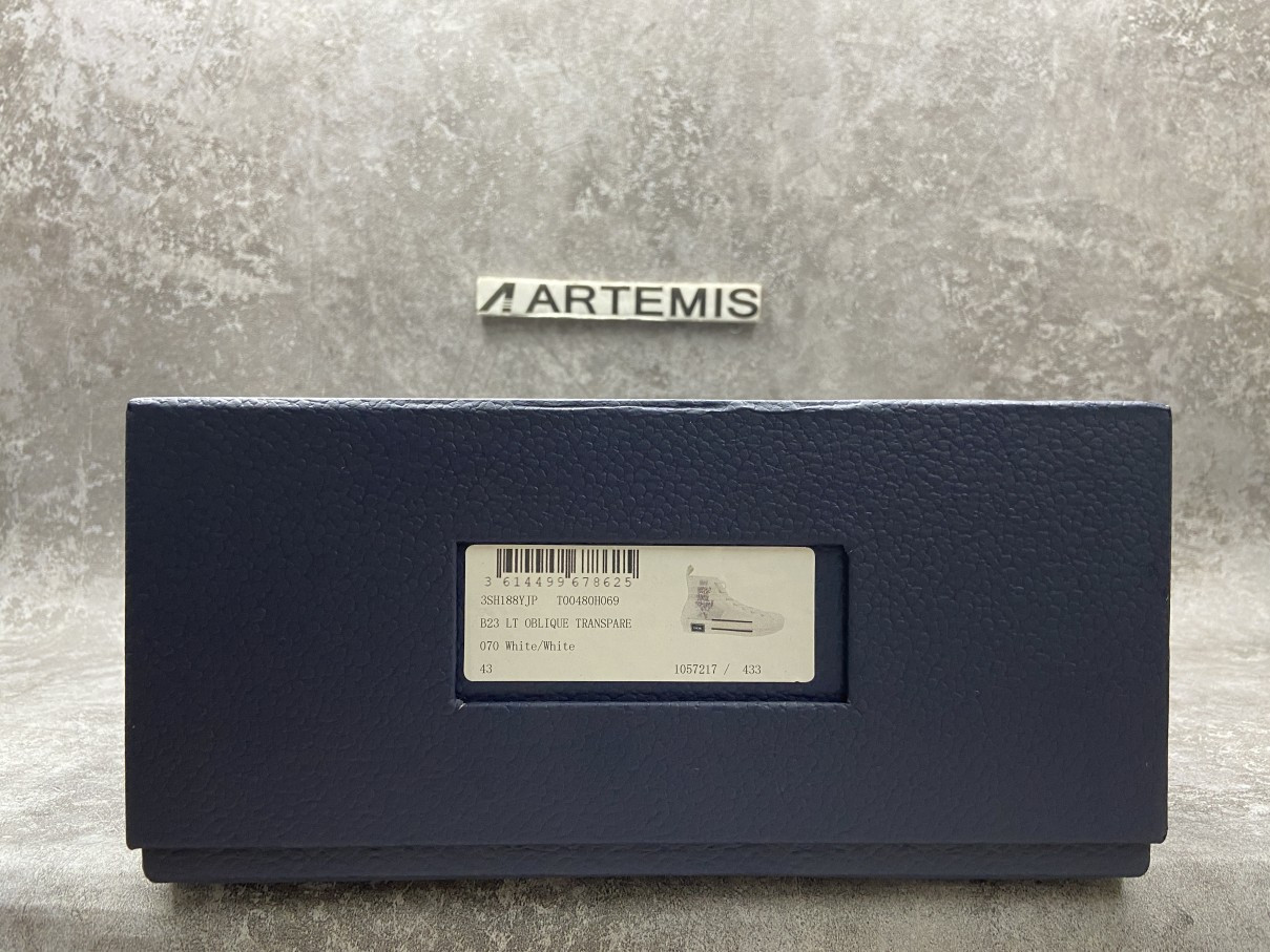 Dior B23 High Top White