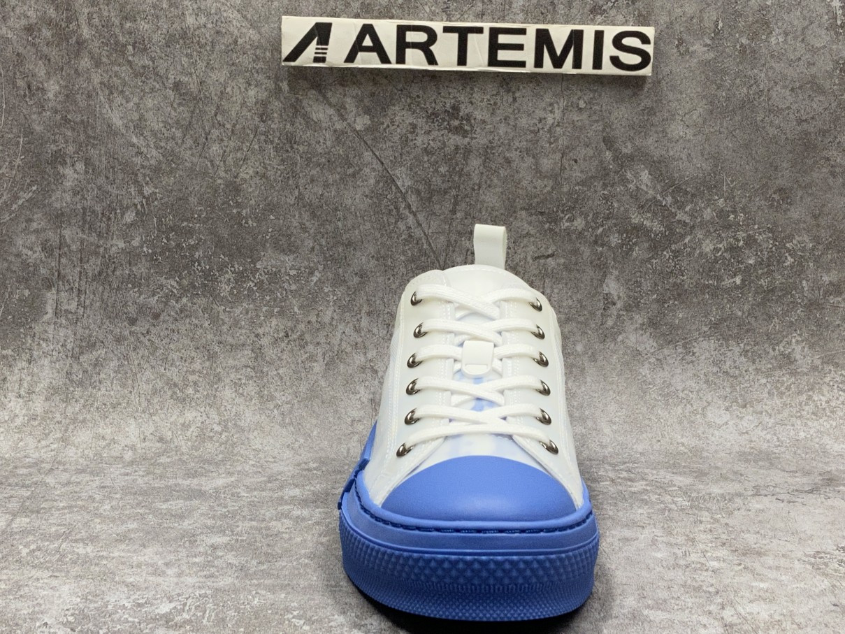 Dior B23 Low Top Gradient Blue