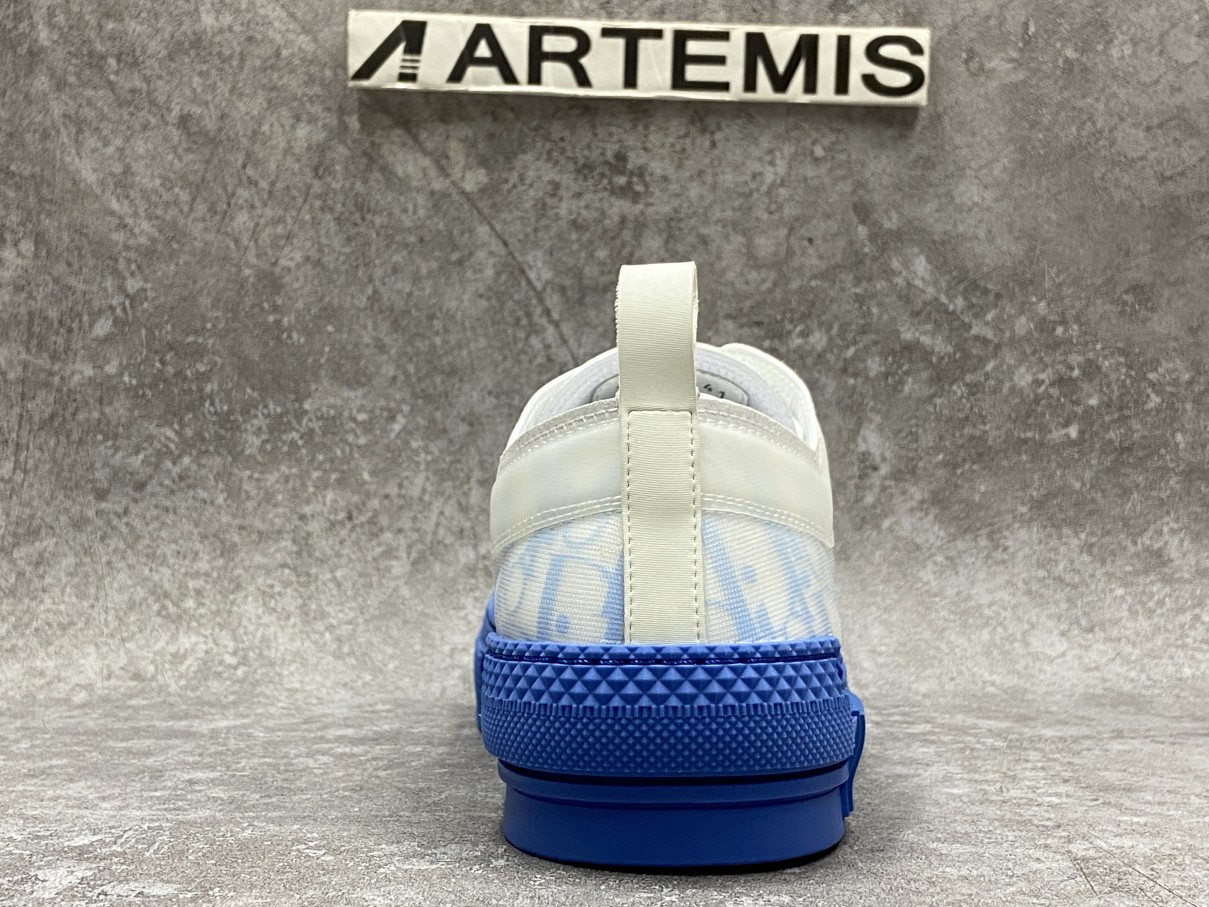 Dior B23 Low Top Gradient Blue