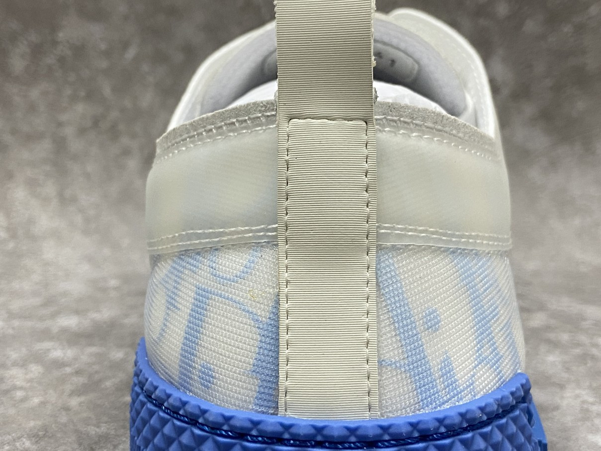 Dior B23 Low Top Gradient Blue