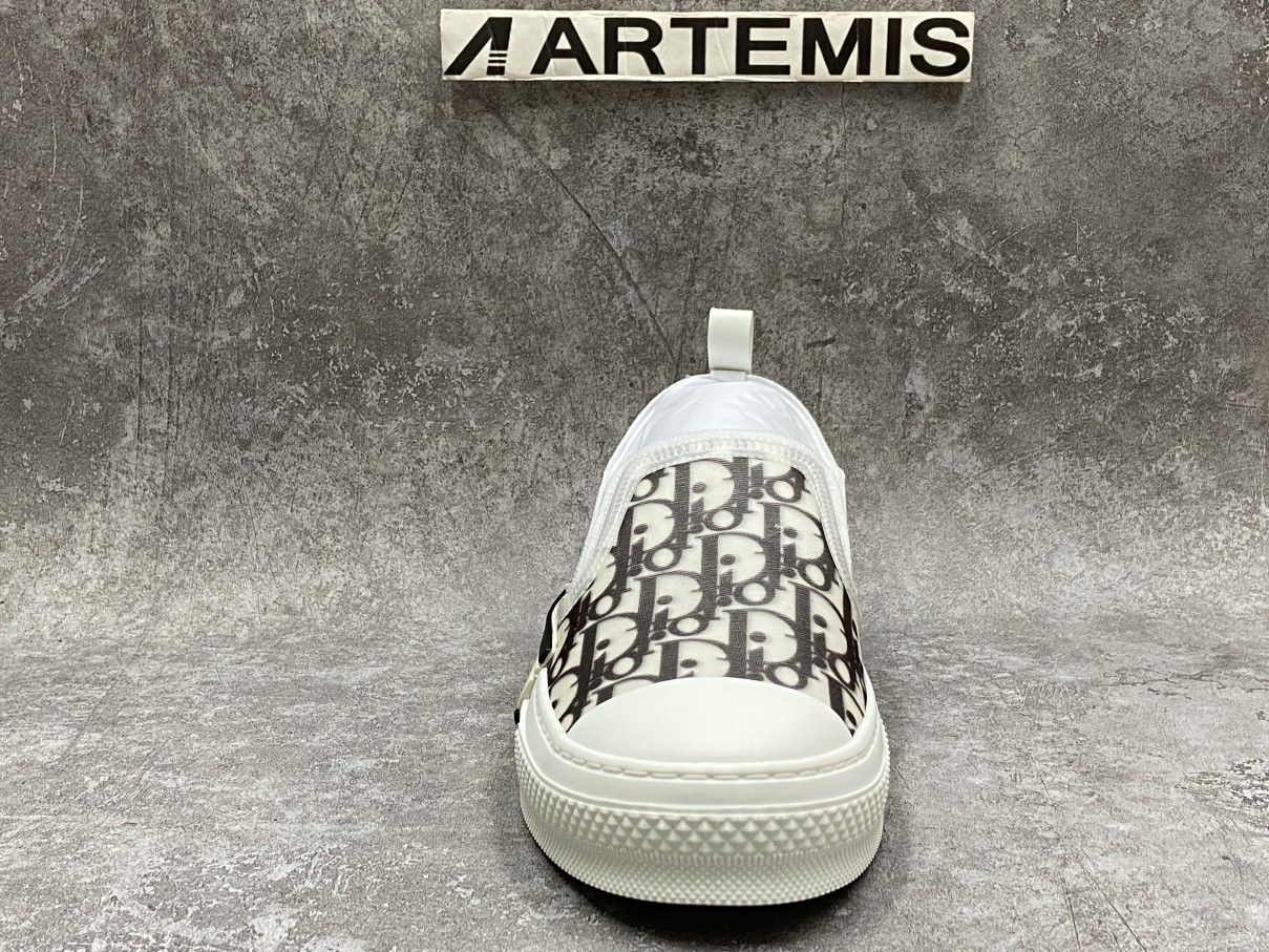 Dior And Shawn B23 Slip On Logo Oblique