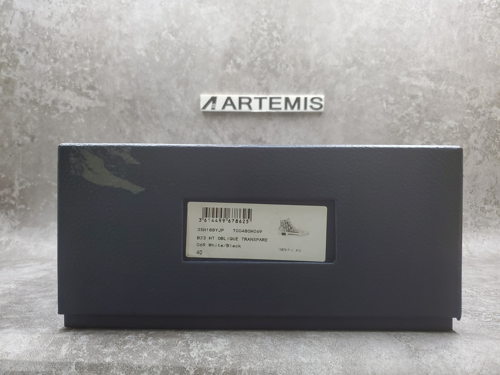 Dior B23 High Top Logo Oblique