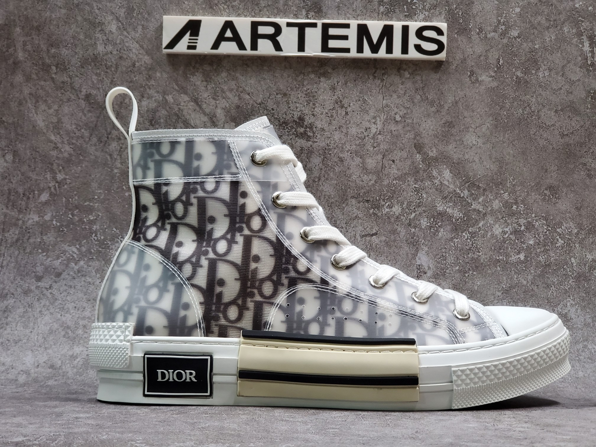 Dior B23 High Top Logo Oblique