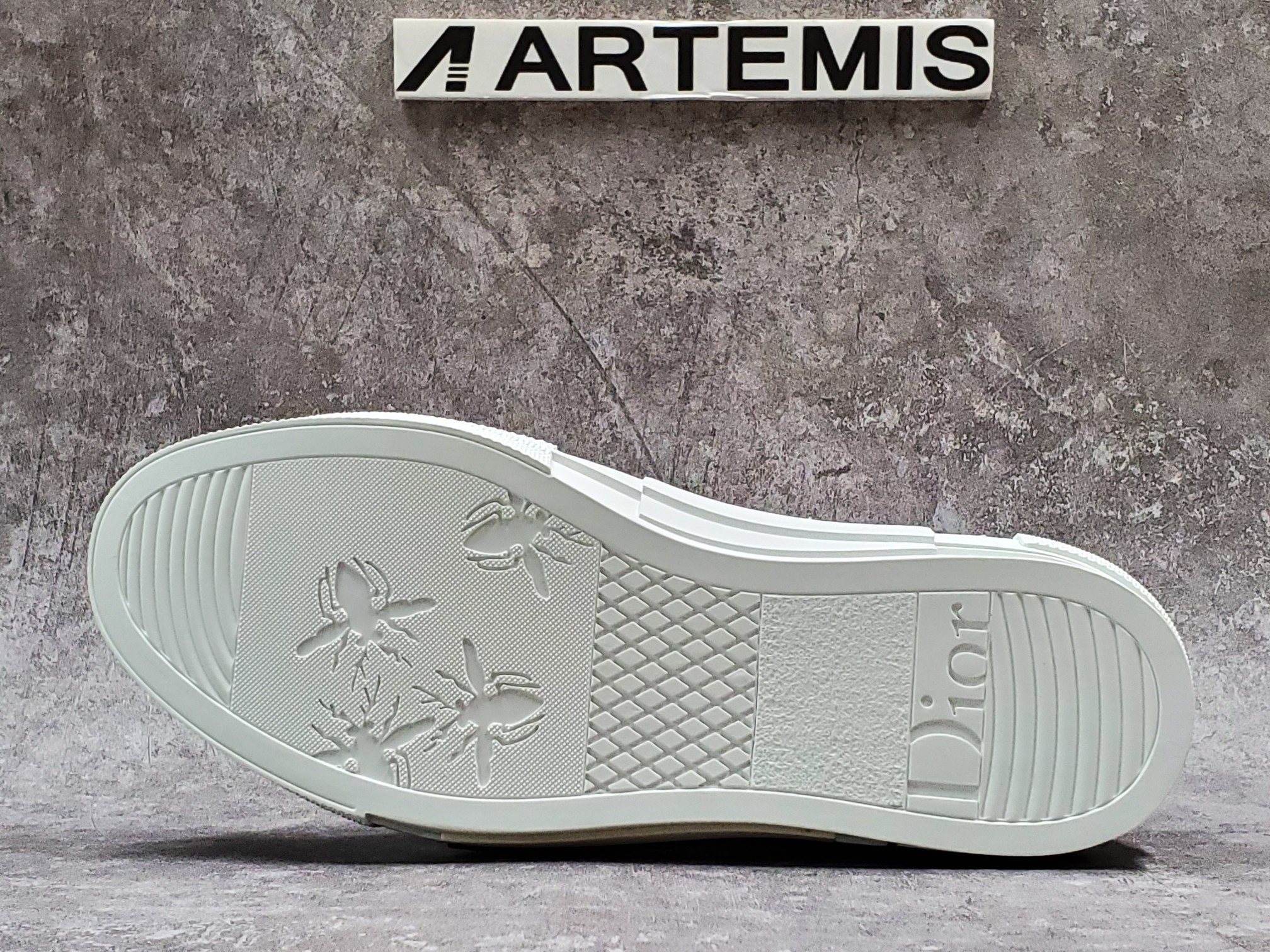 Dior B23 High Top Logo Oblique