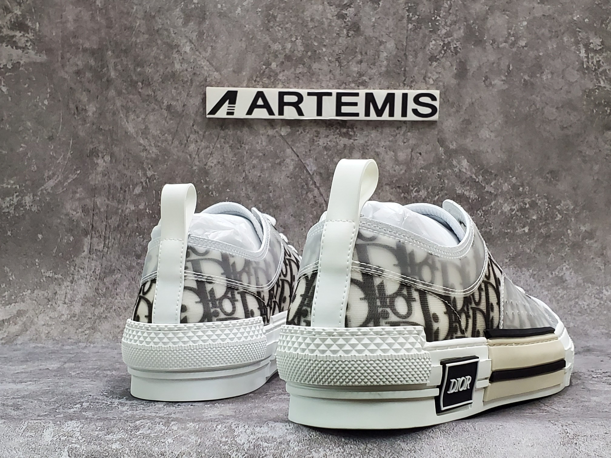 Dior B23 Low 