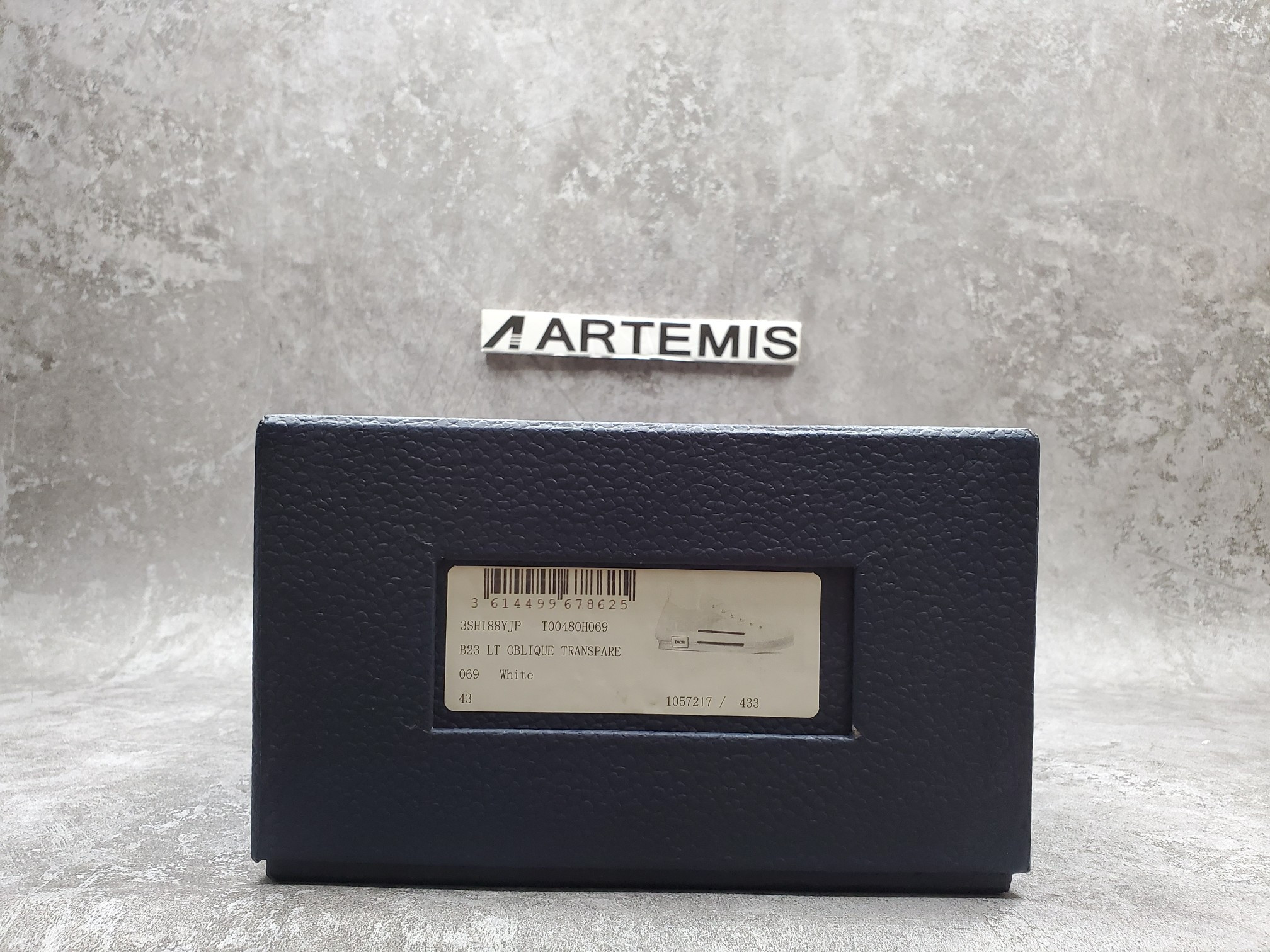 Dior B23 Low Top Oblique