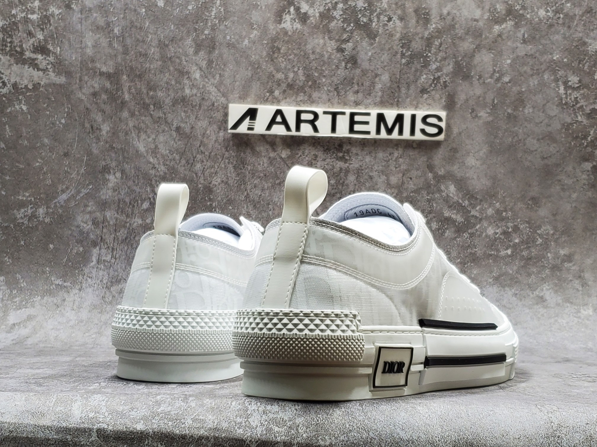 Dior B23 Low Top Oblique