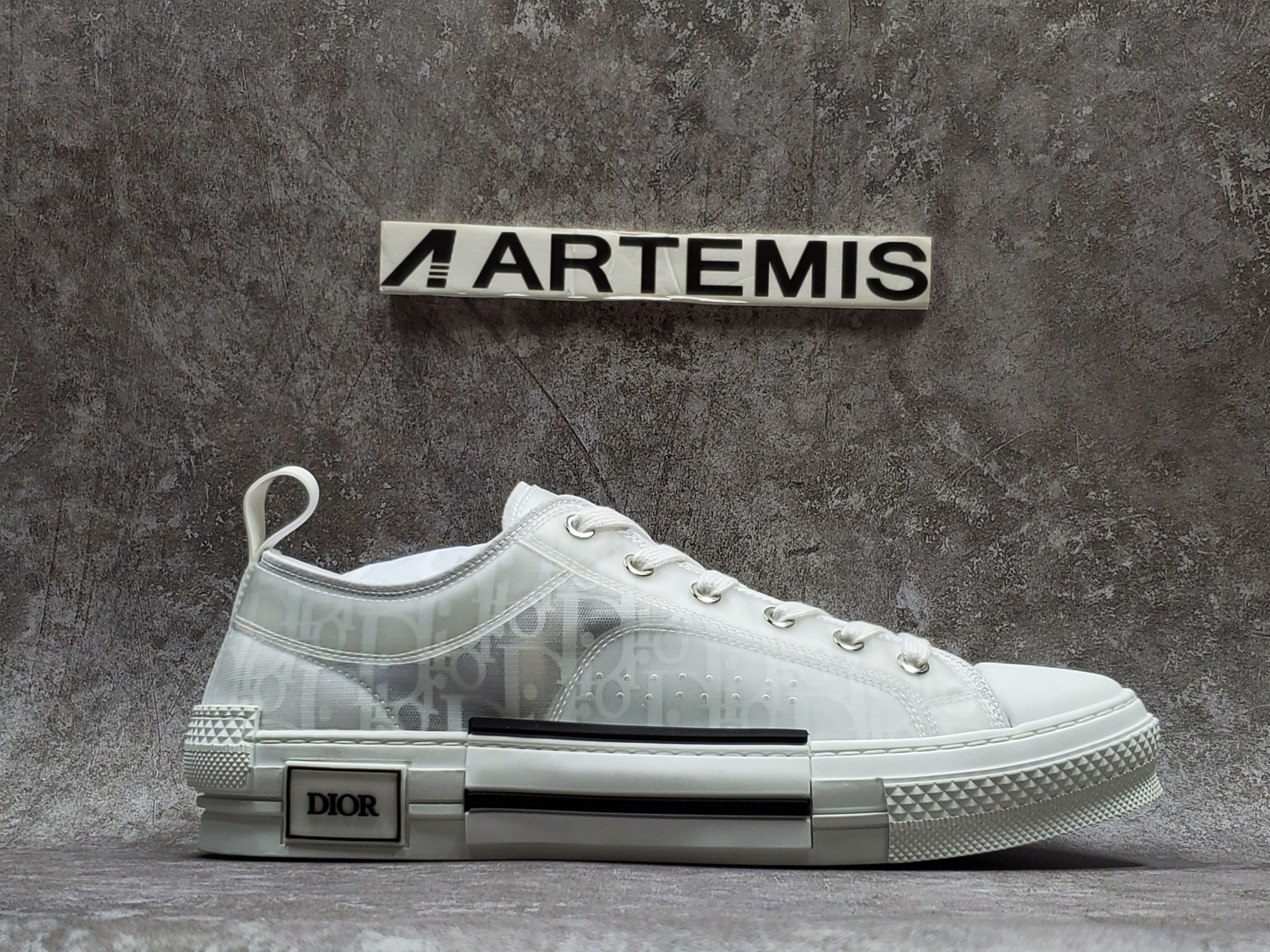 Dior B23 Low Top Oblique