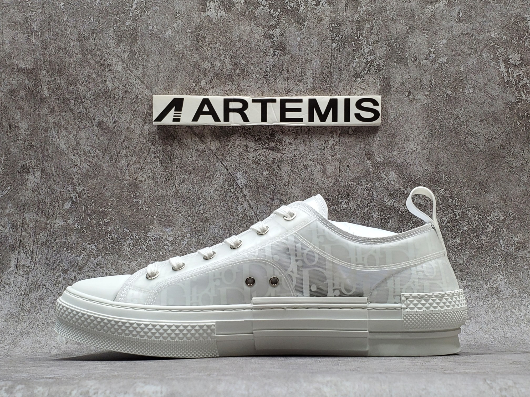 Dior B23 Low Top Oblique