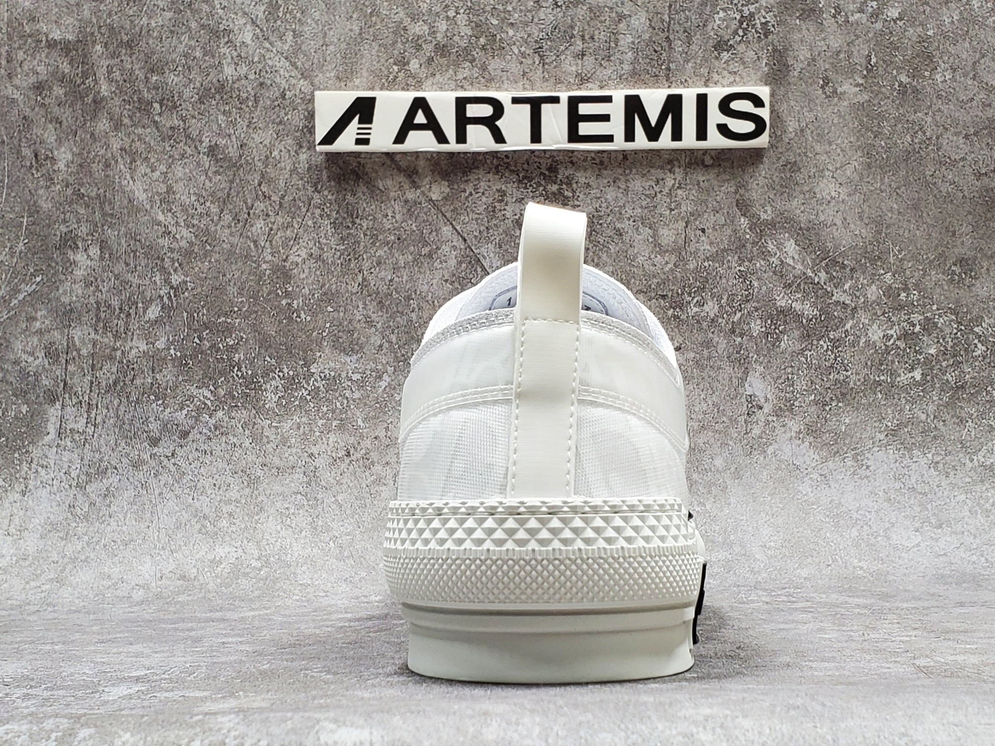 Dior B23 Low Top Oblique