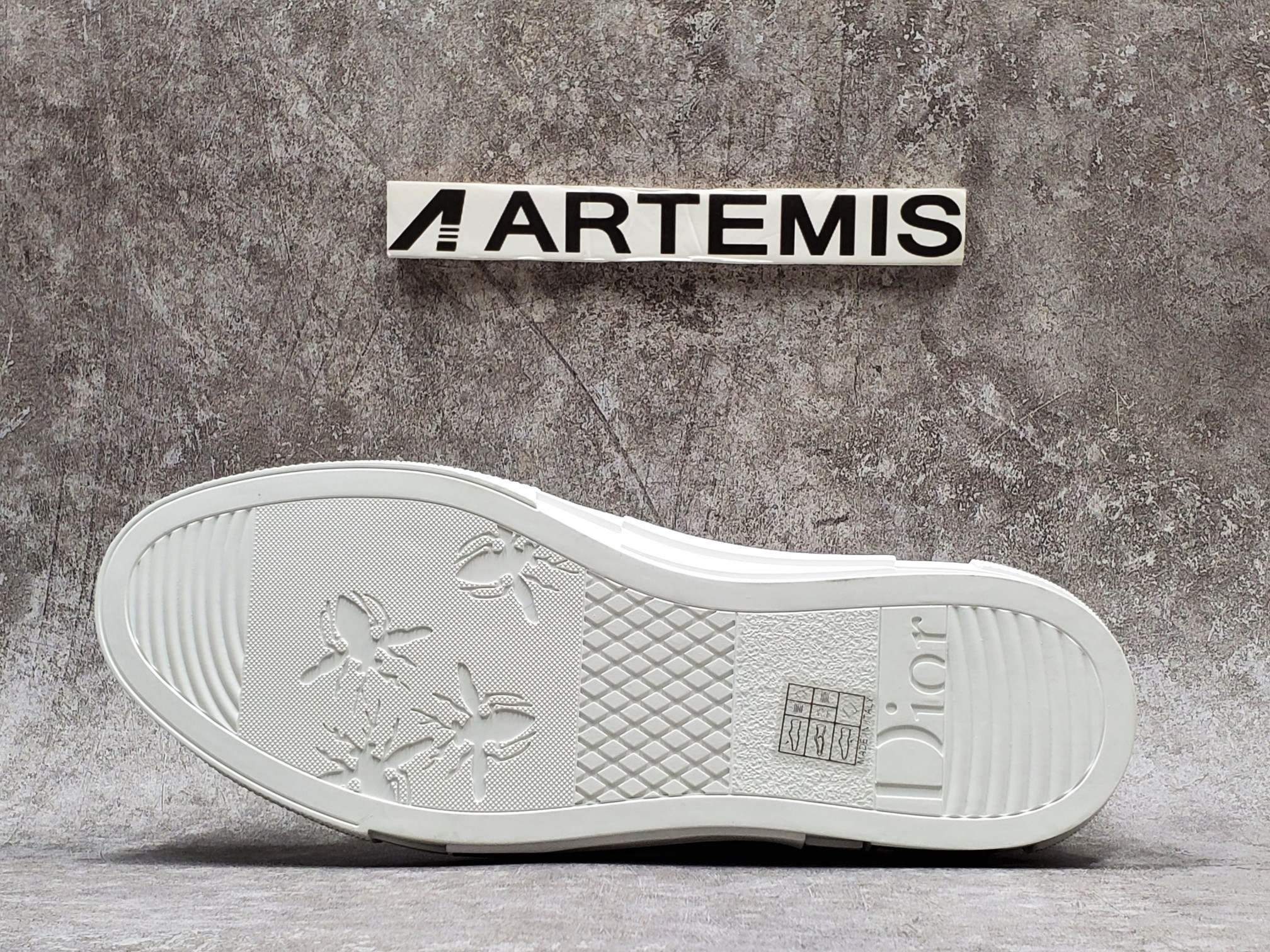 Dior B23 Low Top Oblique