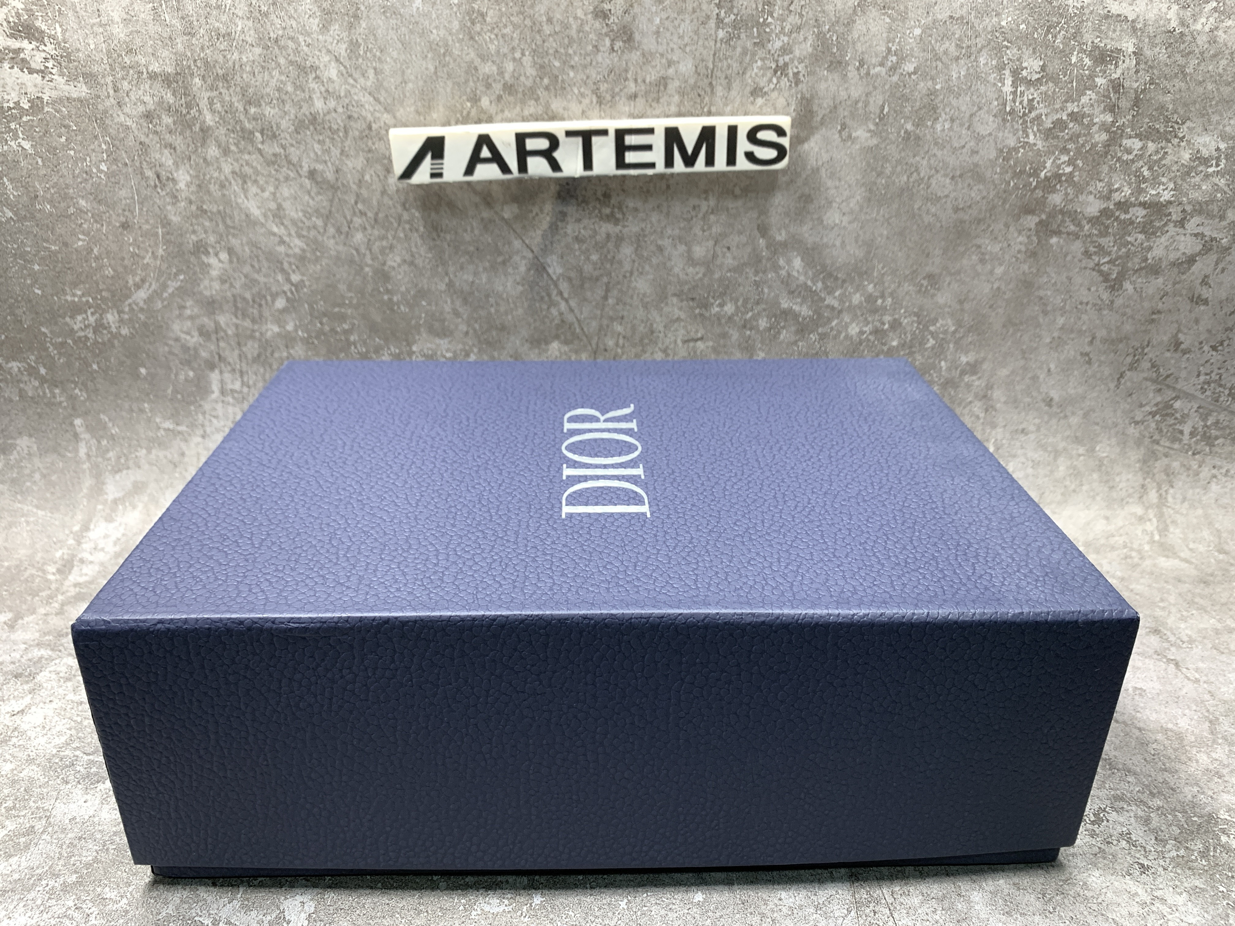 Dior B23 High Grey Leopard