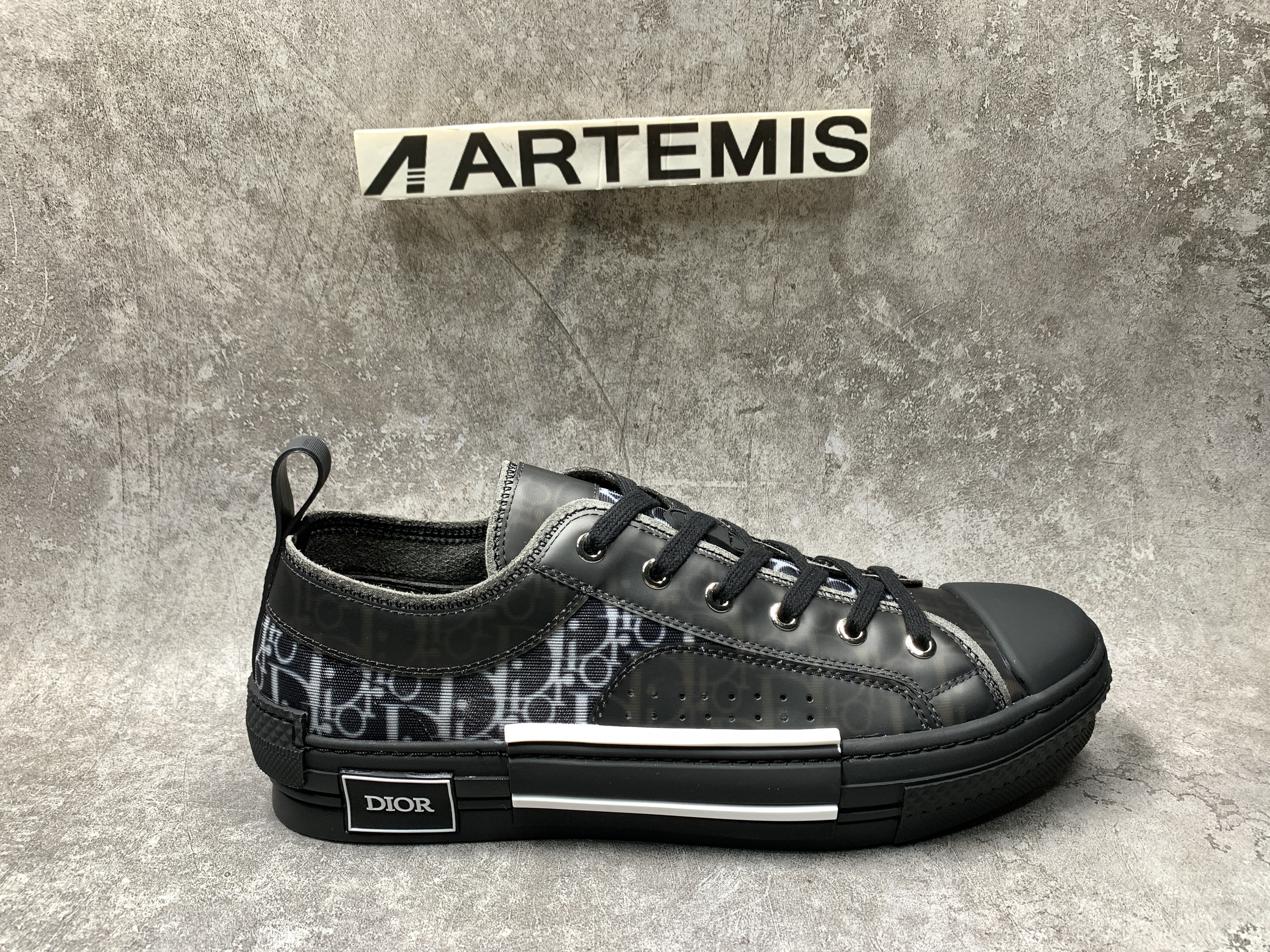 Dior B23 Low Top Canvas Oblique Black