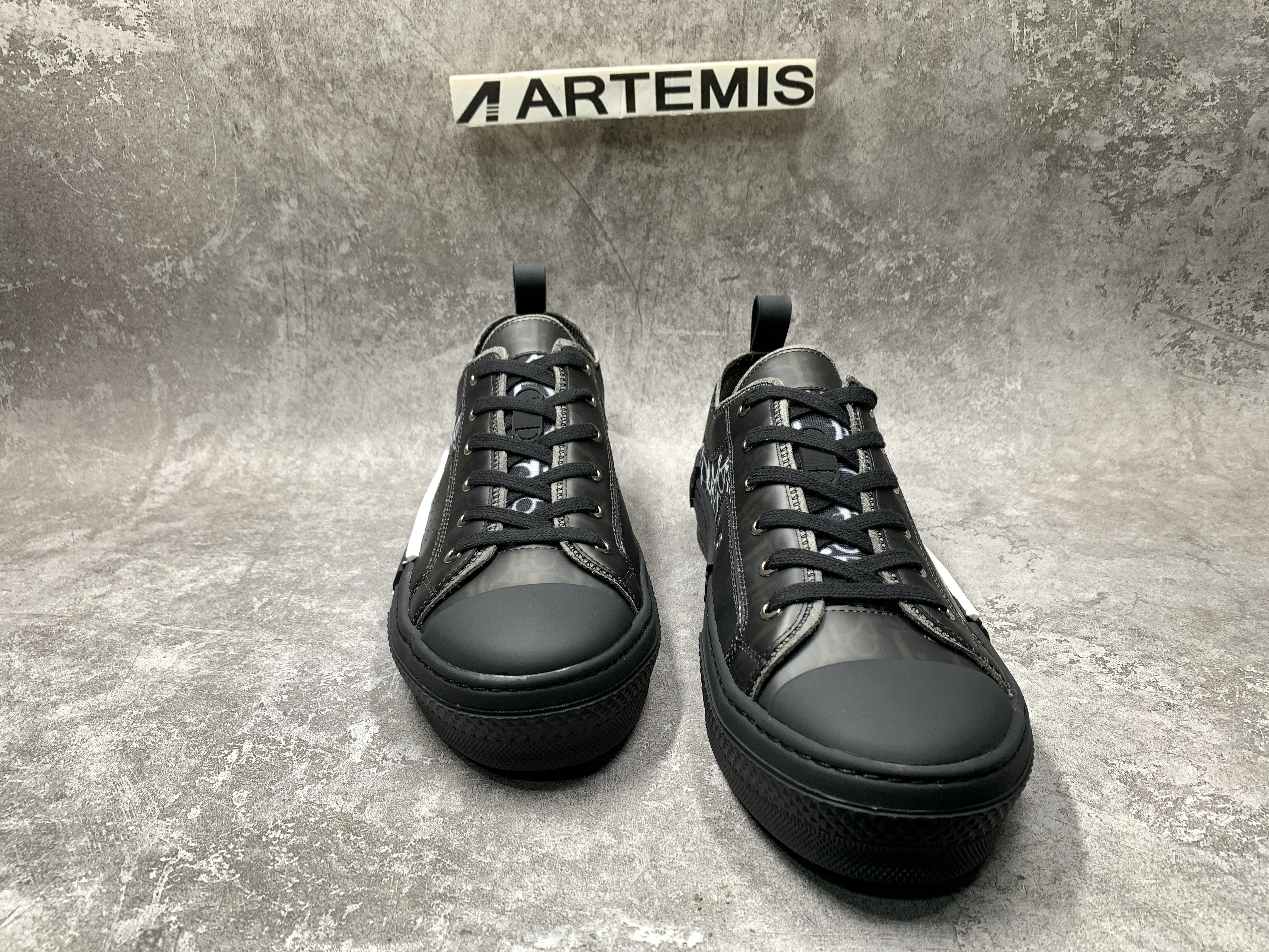 Dior B23 Low Top Canvas Oblique Black