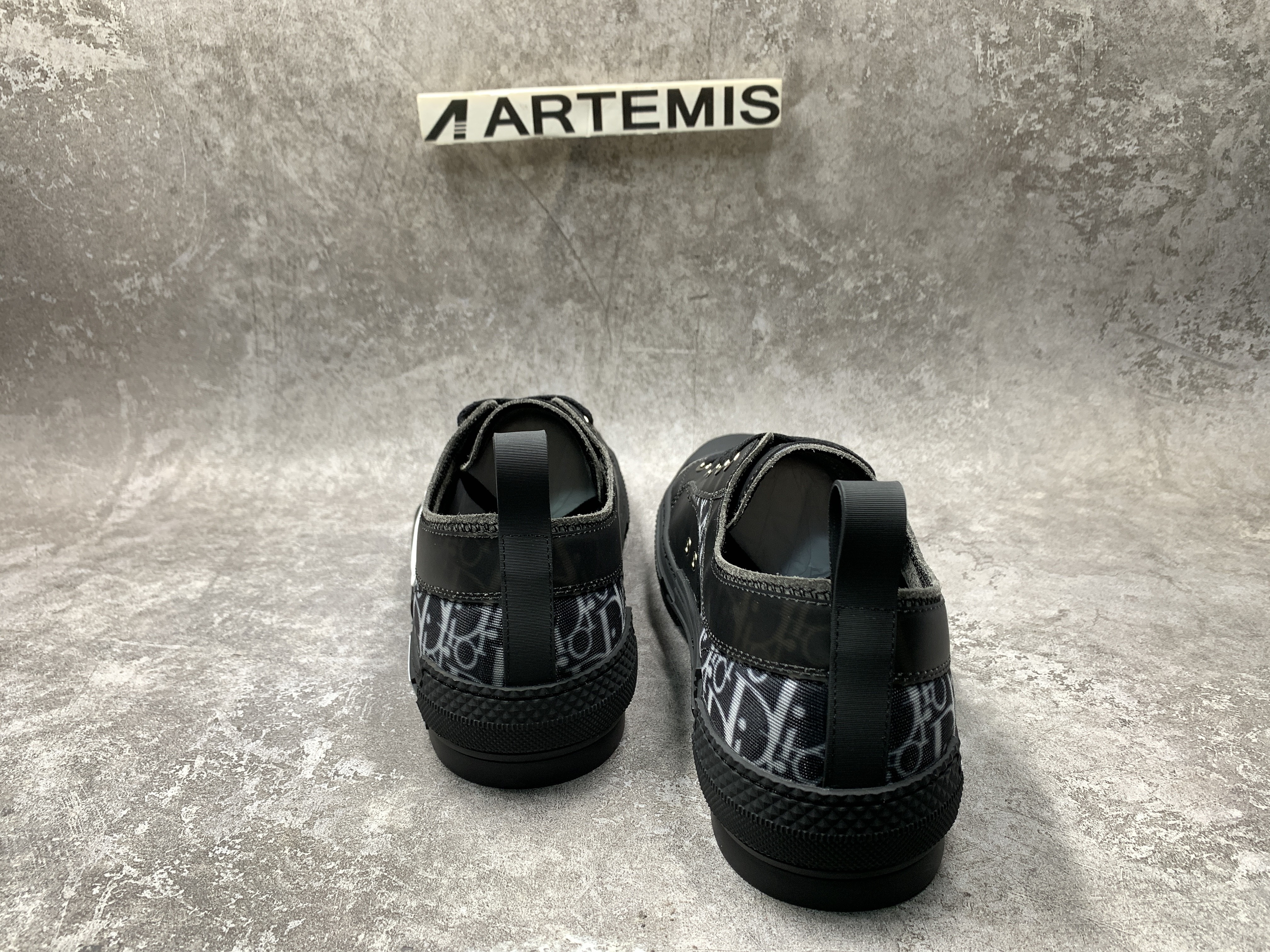 Dior B23 Low Top Canvas Oblique Black