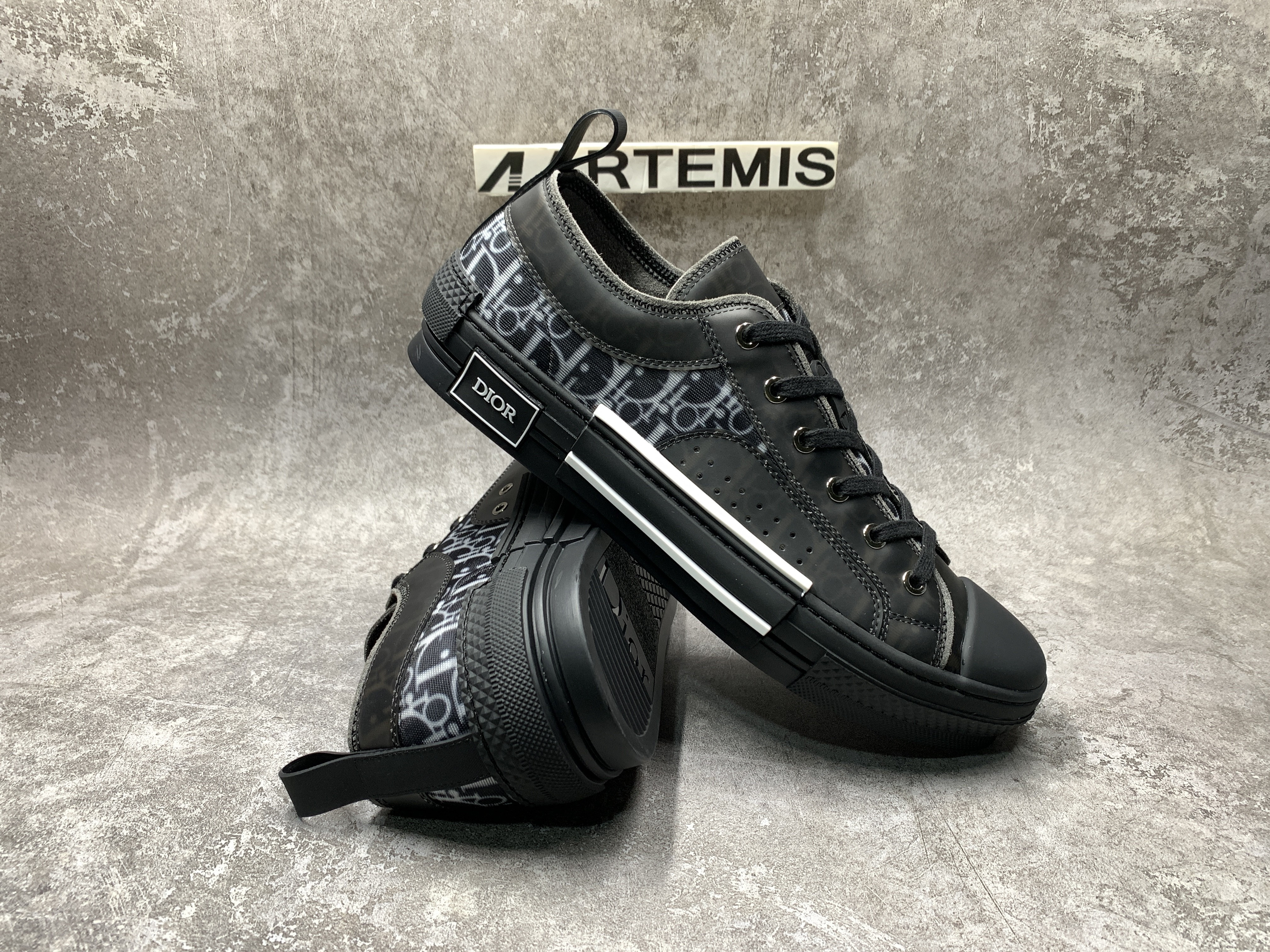 Dior B23 Low Top Canvas Oblique Black