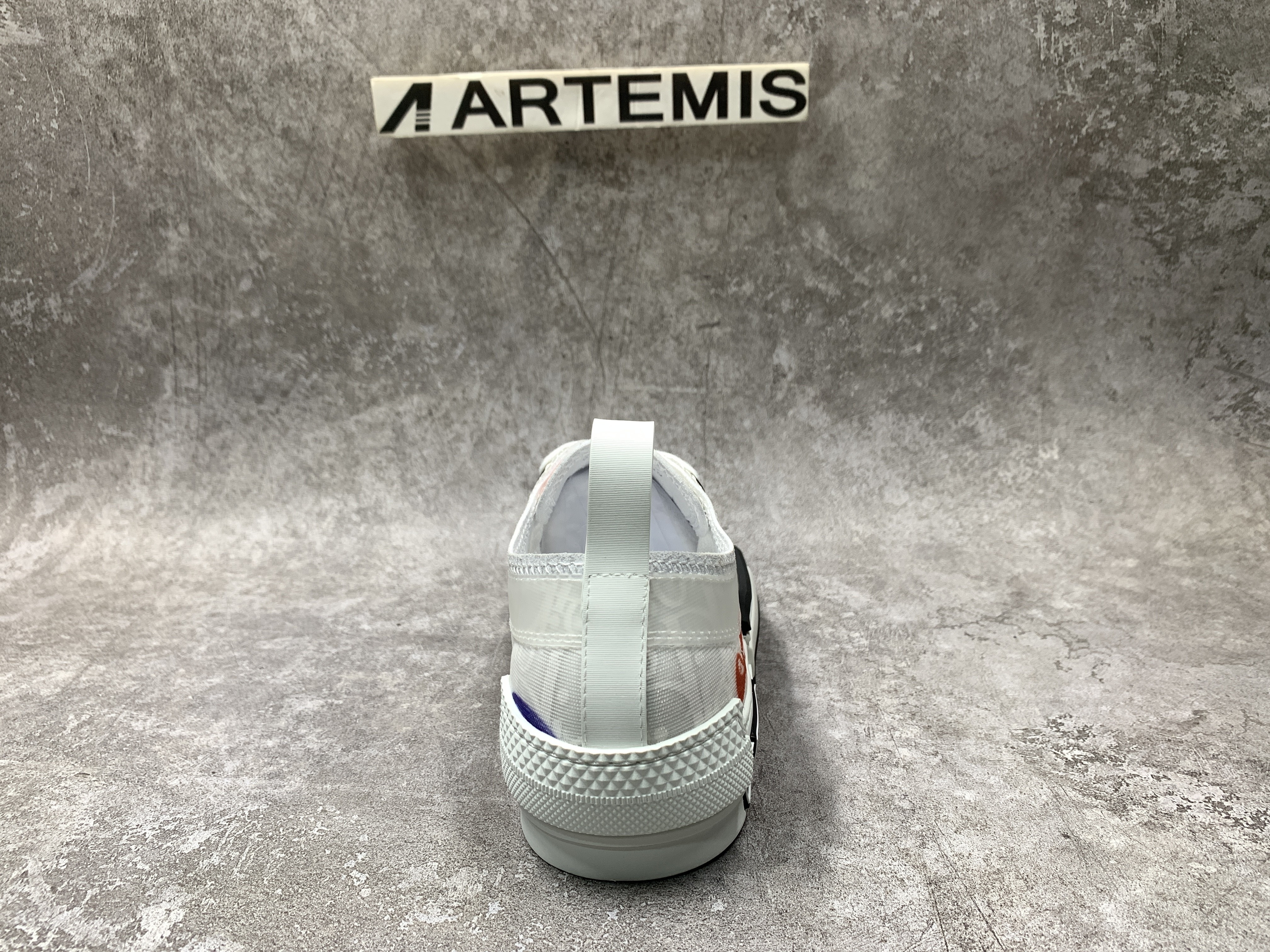 Dior B23 Low X Kenny Schare Multi