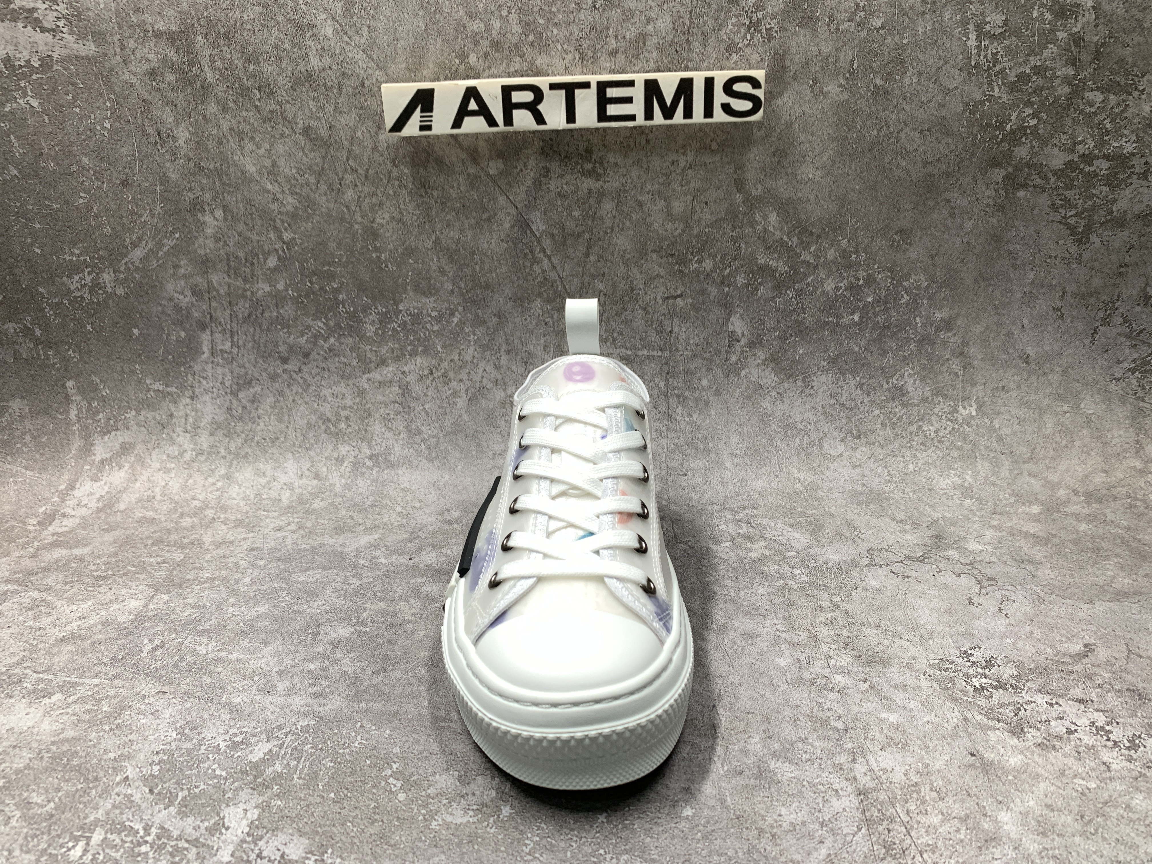 Dior B23 Low X Kenny Schare Multi