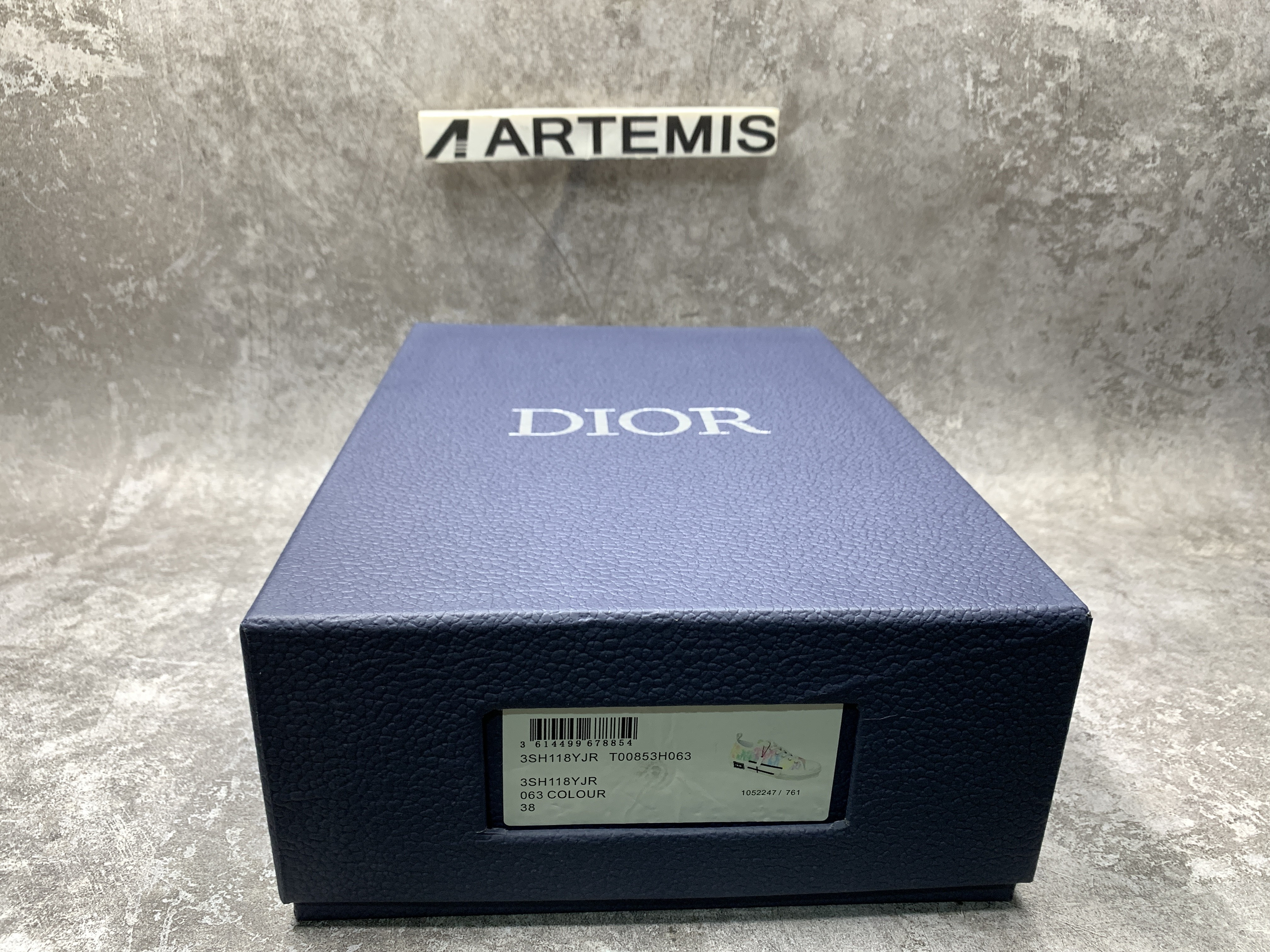 Dior B23 Low MixColor