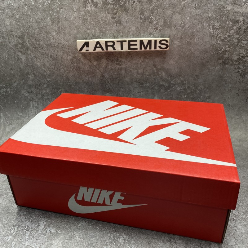 Nike Dunk Low Florida A&M University